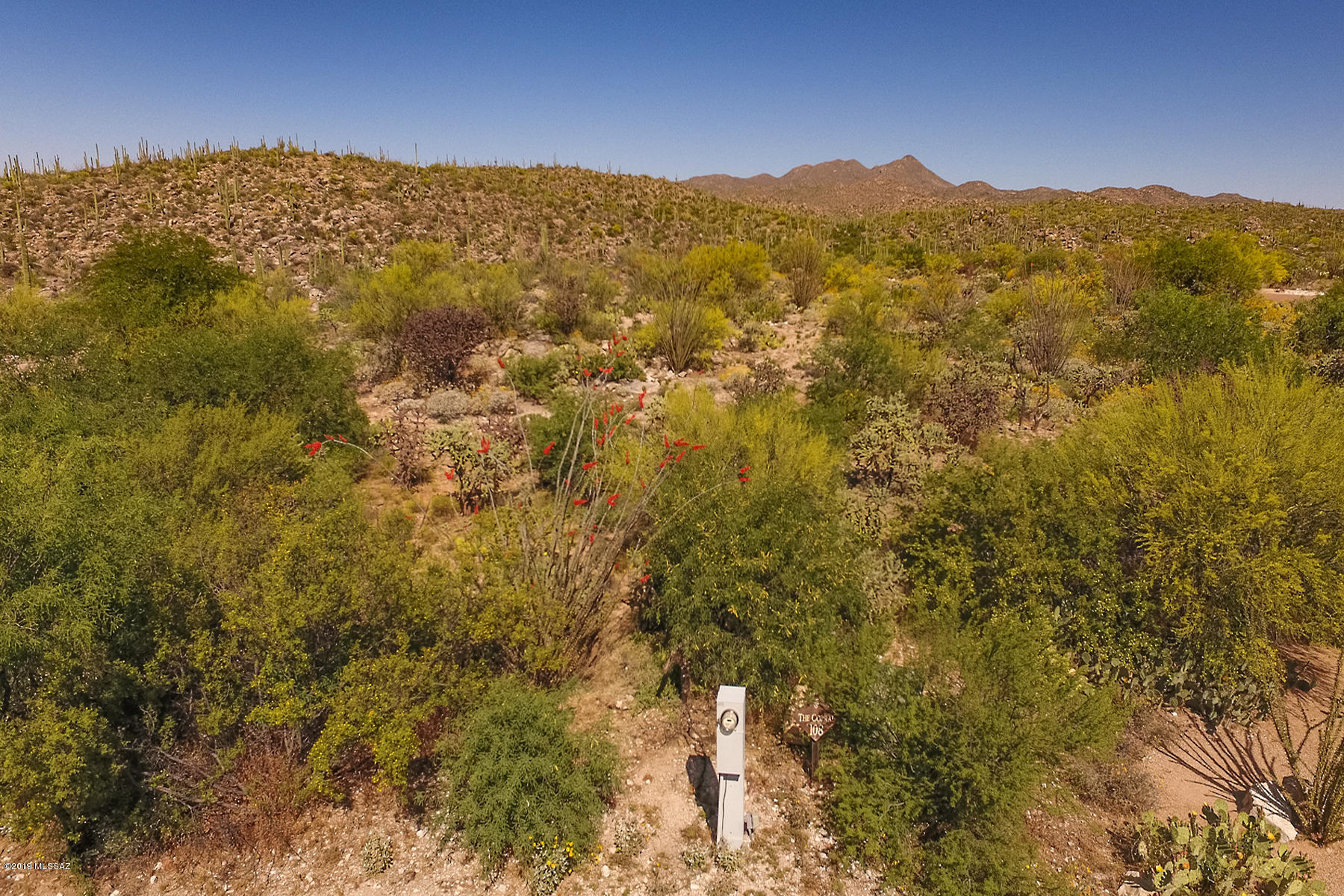 Honey Bee Ridge(The Estates At) - Land