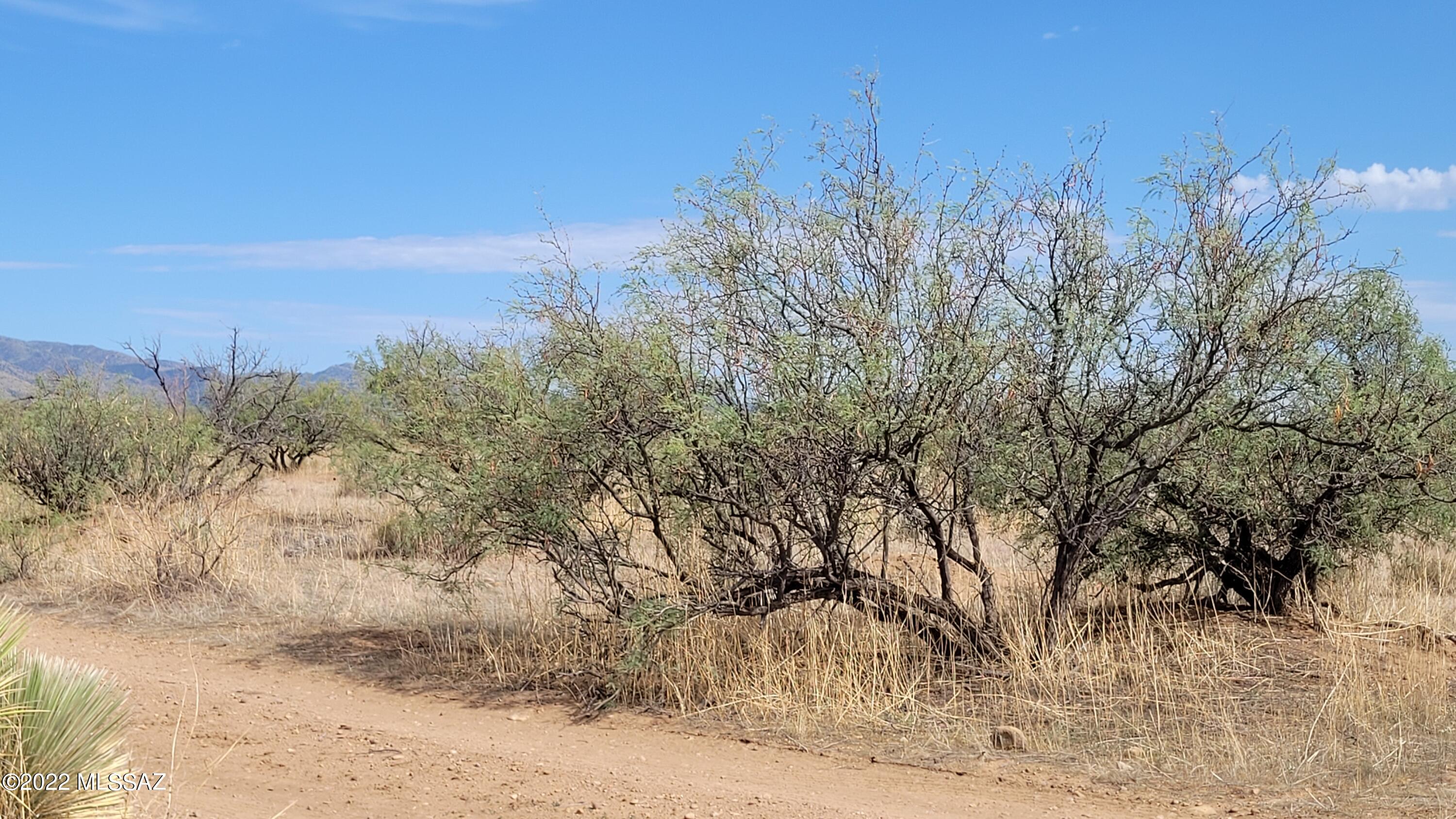 Turkey Creek Ranch - Land