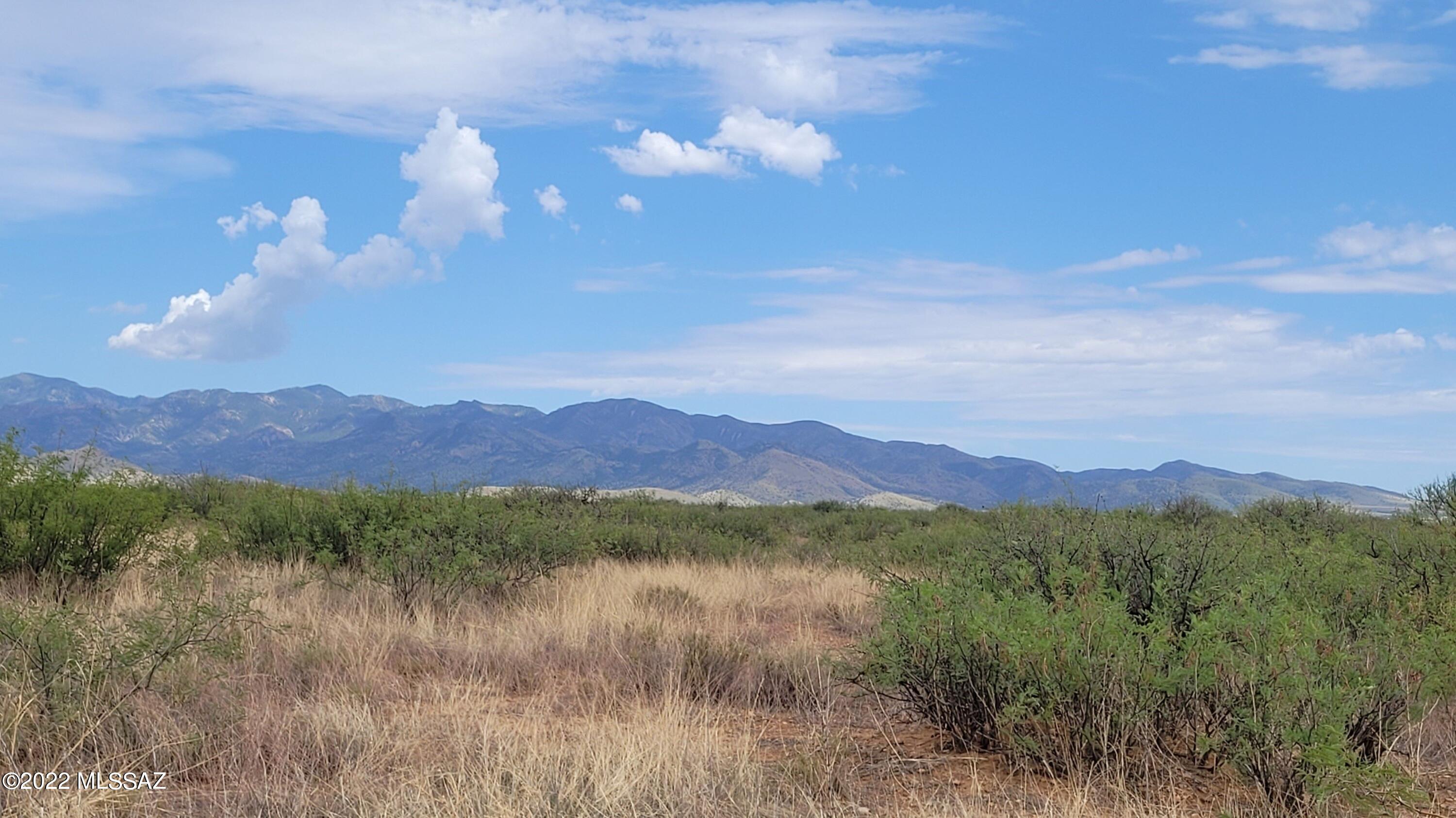Turkey Creek Ranch - Land