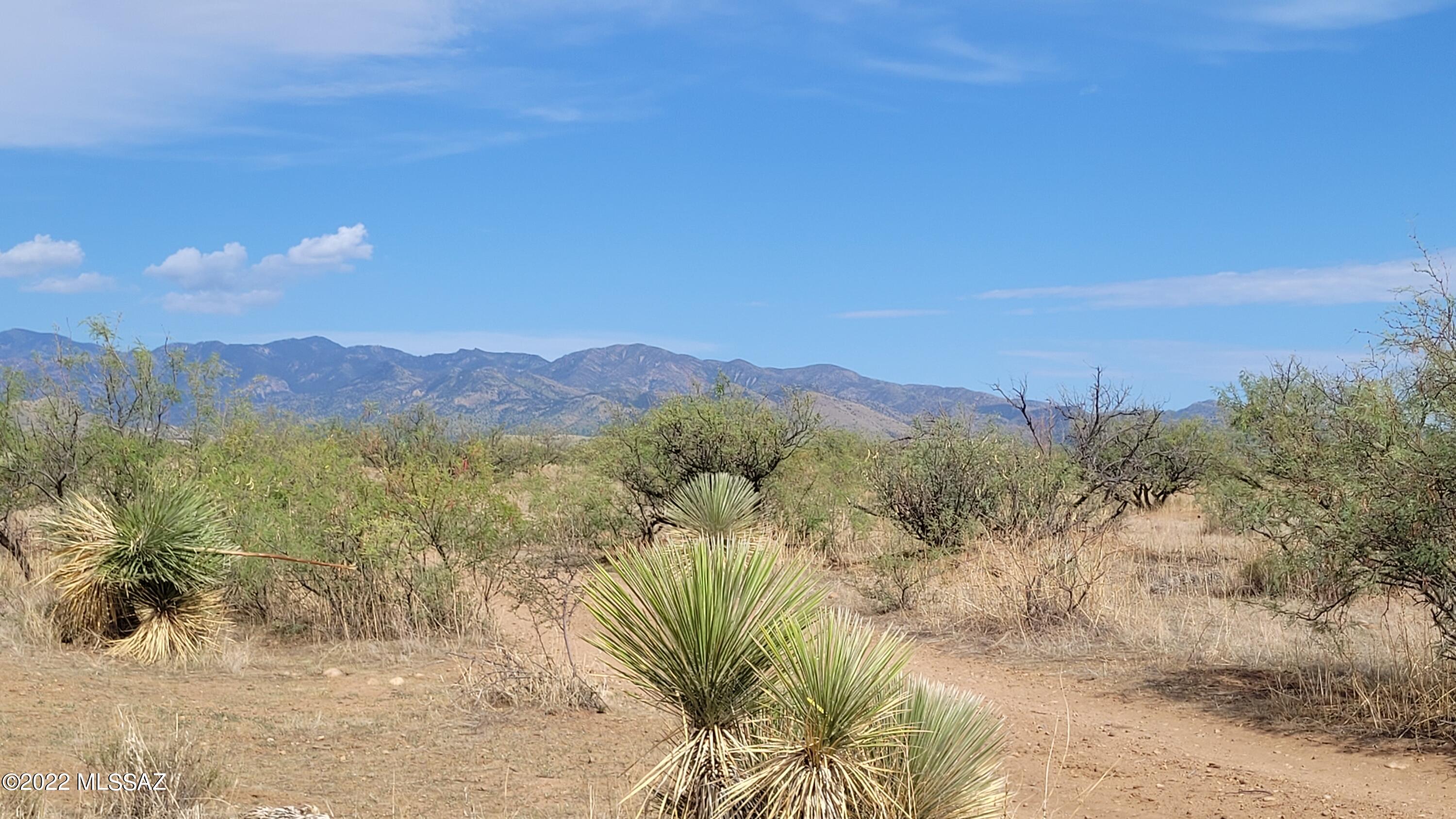 Turkey Creek Ranch - Land