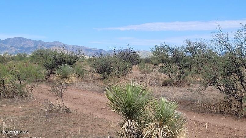 Turkey Creek Ranch - Land