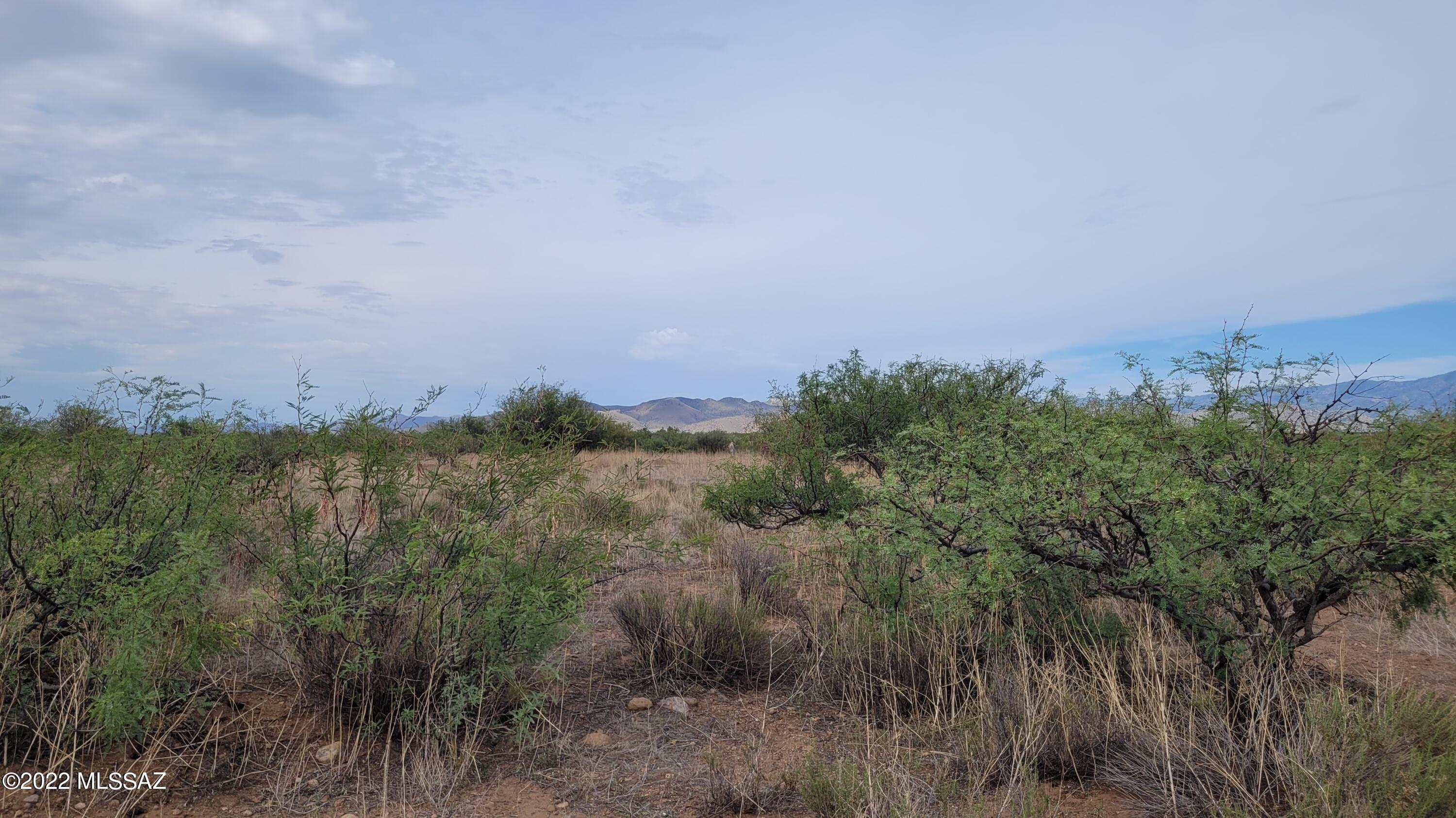 Turkey Creek Ranch - Land