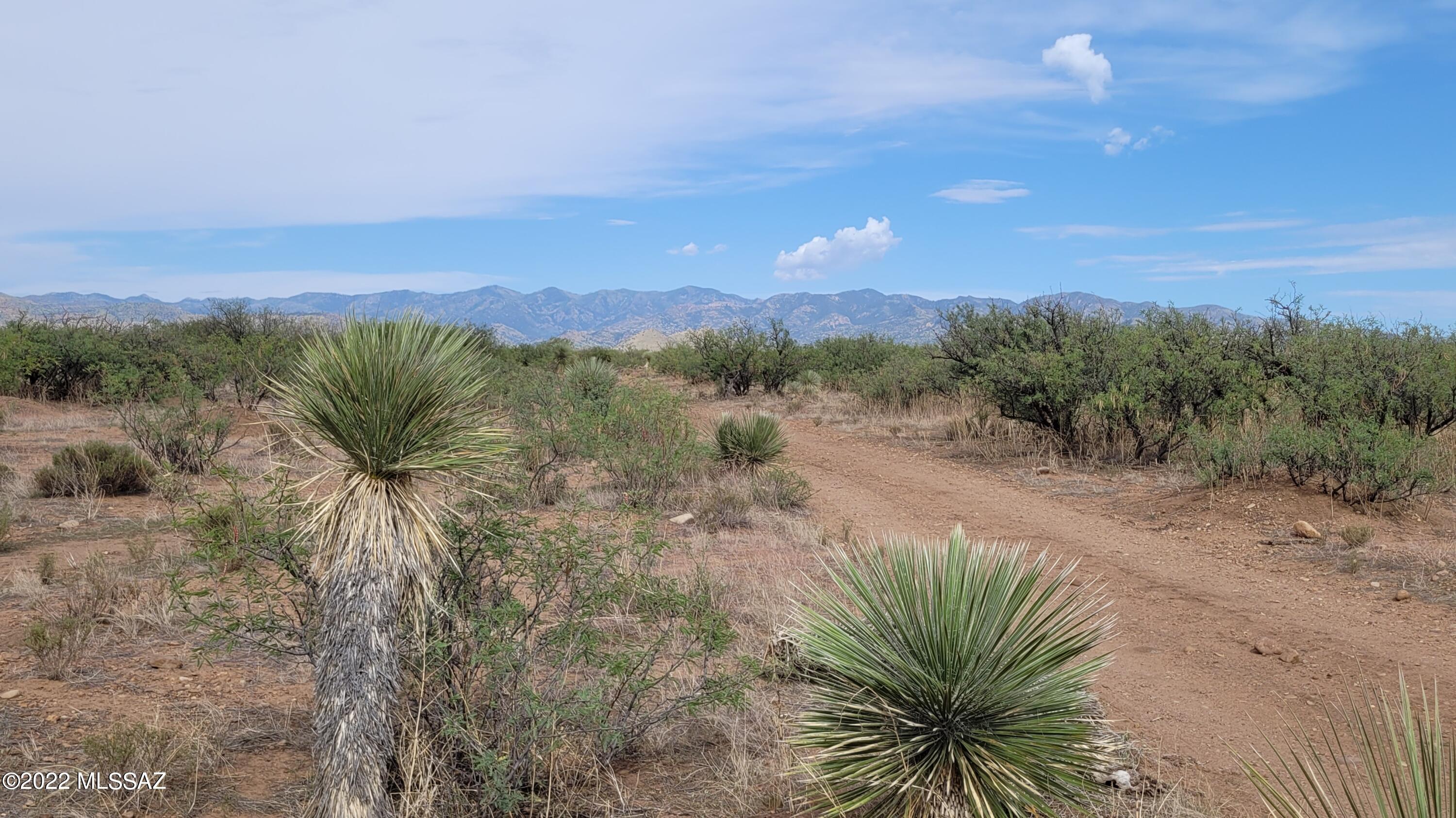 Turkey Creek Ranch - Land