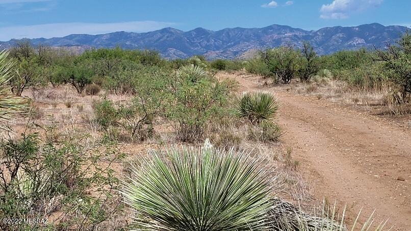 40.36 acres in a peaceful, rural area BUT only 1/2 mile from a state highway. The land is level and the views are stunning, 360 degrees. A private capped well, well registry 55-211146, is on property and electric at property line. Easily traversed dirt roads from Highway 181 to property. Zoned RU-4 and Fema Zone X.  Only a mile to Turkey Creek Road.   Some of the darkest skies in the country.  Tucson Amateur Astronomy Association is just to the west of the parcel!  Priced to sell!