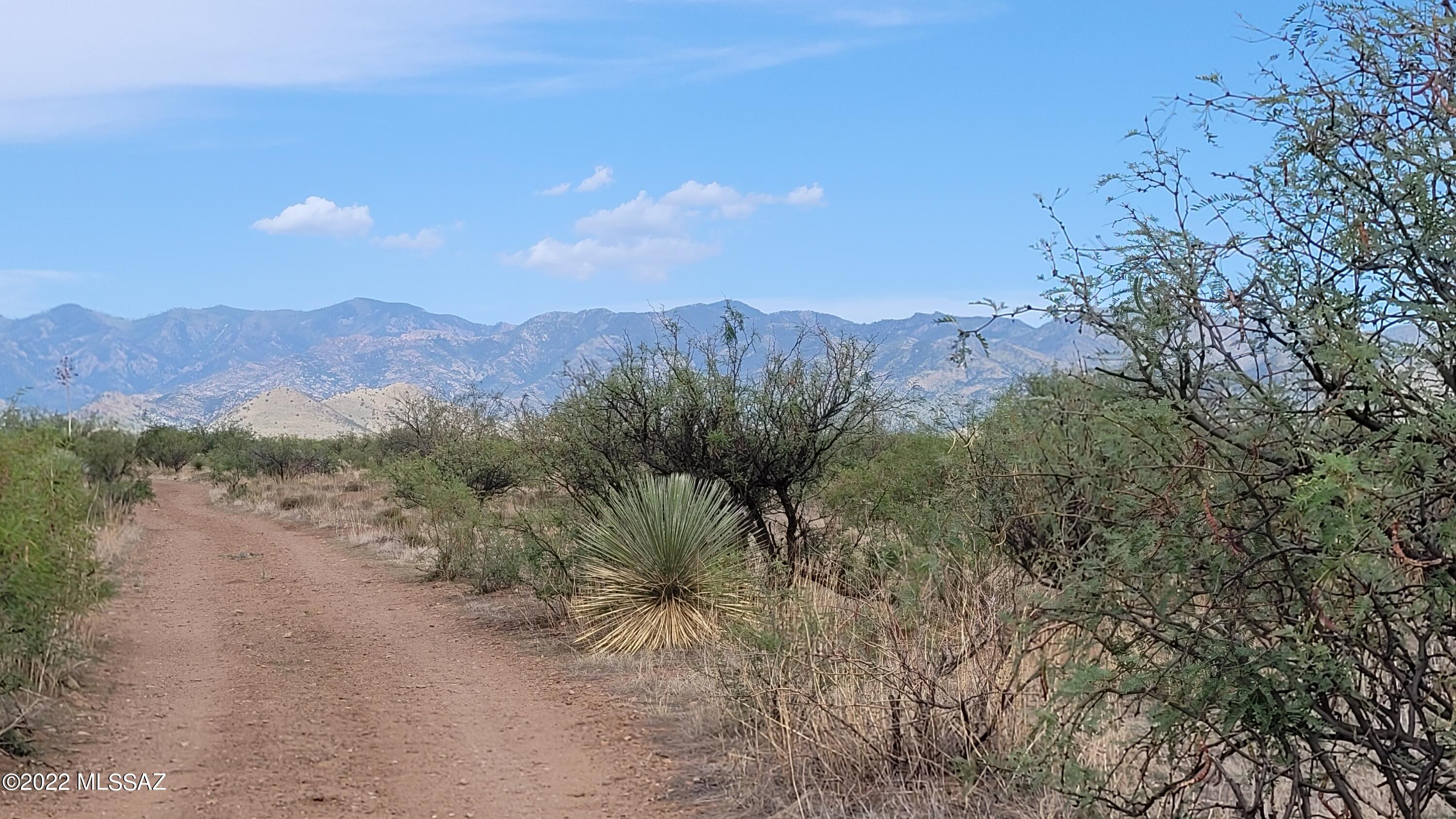 Turkey Creek Ranch - Land
