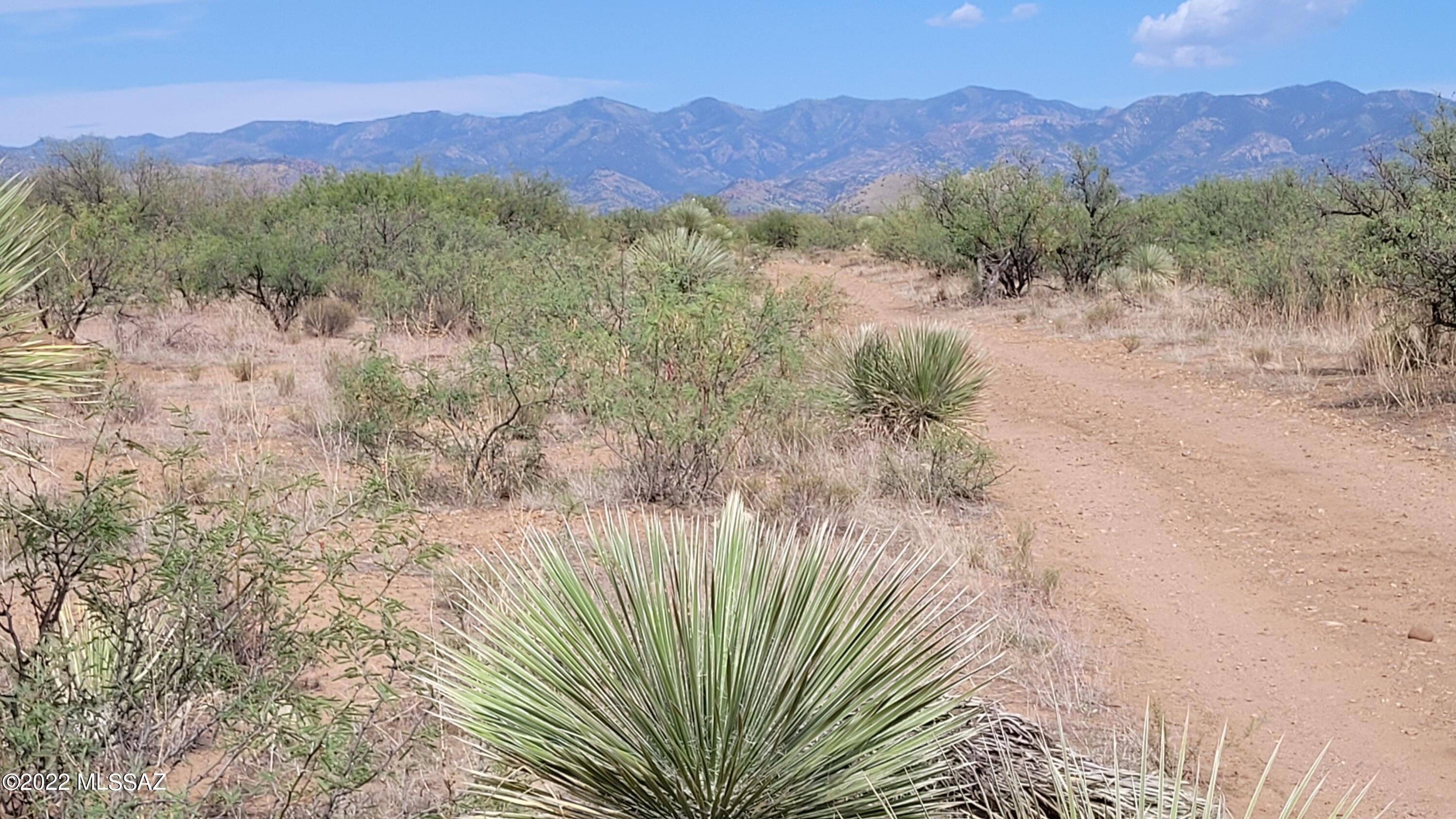Turkey Creek Ranch - Land