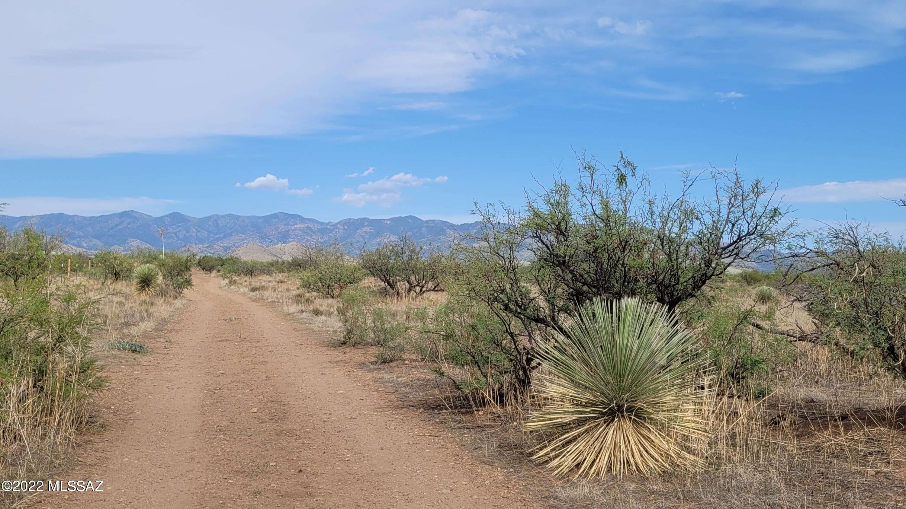 Turkey Creek Ranch - Land