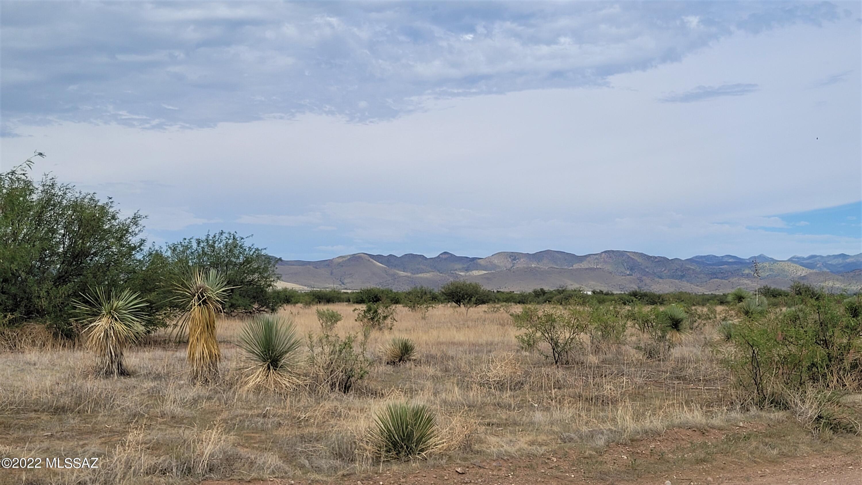 Turkey Creek Ranch - Land