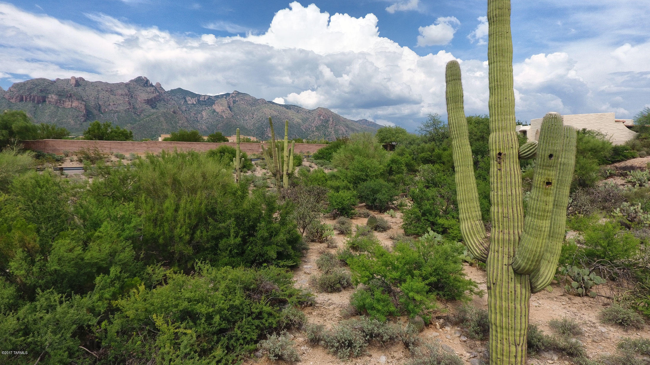 Catalina Foothills Estates NO. 6 (1-54) - Land