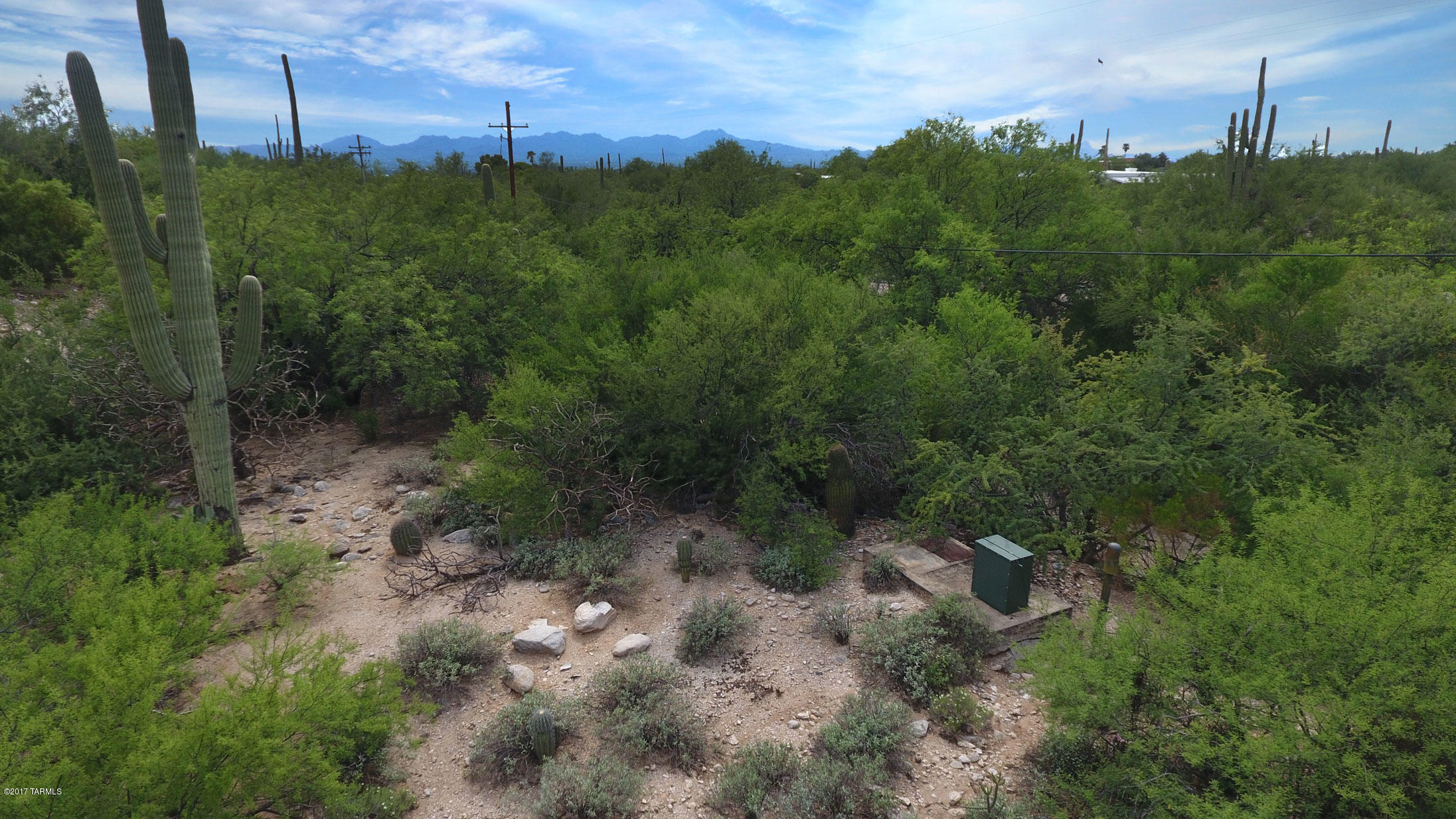 Catalina Foothills Estates NO. 6 (1-54) - Land