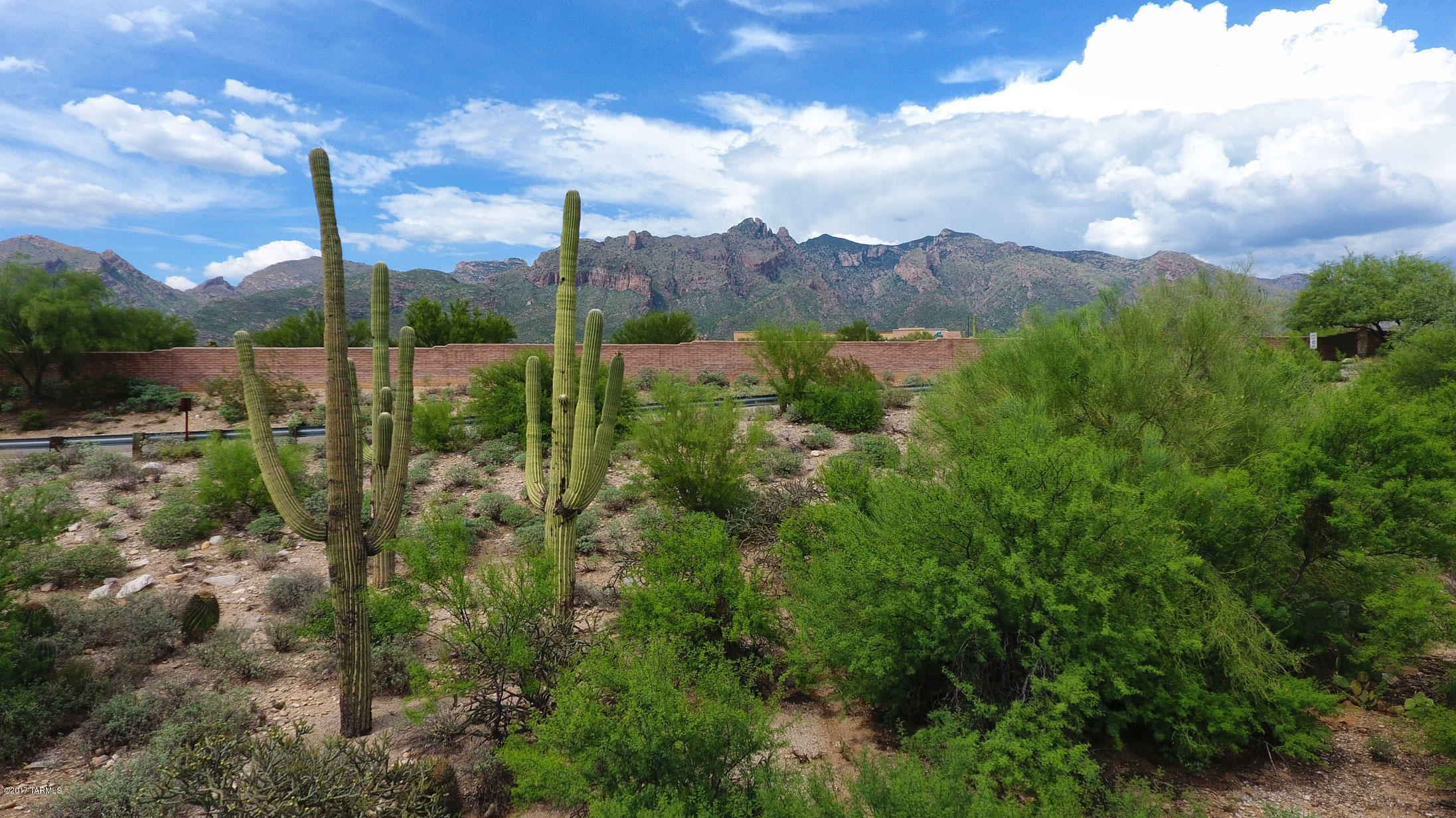 Catalina Foothills Estates NO. 6 (1-54) - Land