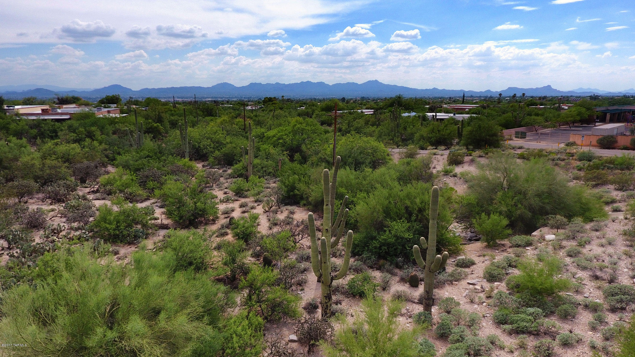 Catalina Foothills Estates NO. 6 (1-54) - Land