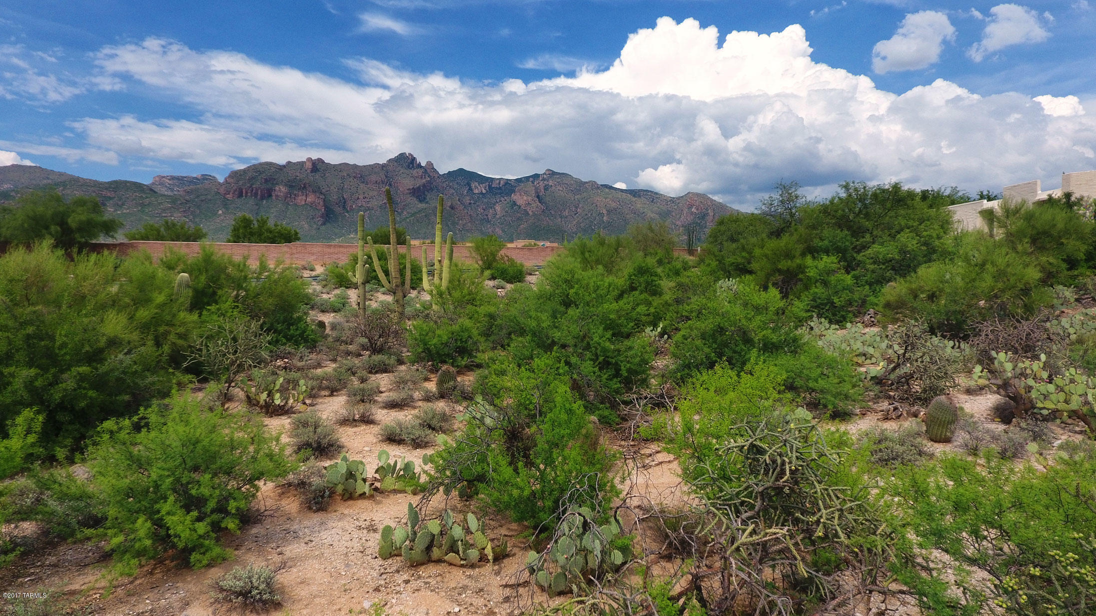 Catalina Foothills Estates NO. 6 (1-54) - Land