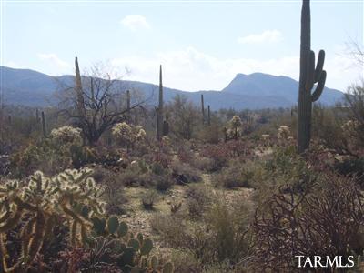 Commanding views of the Owl Head Buttes and Tortolita Mts. Easy access,pristine vegetation.Unique central area of the Tortolita Mts. Sanctuary Essence