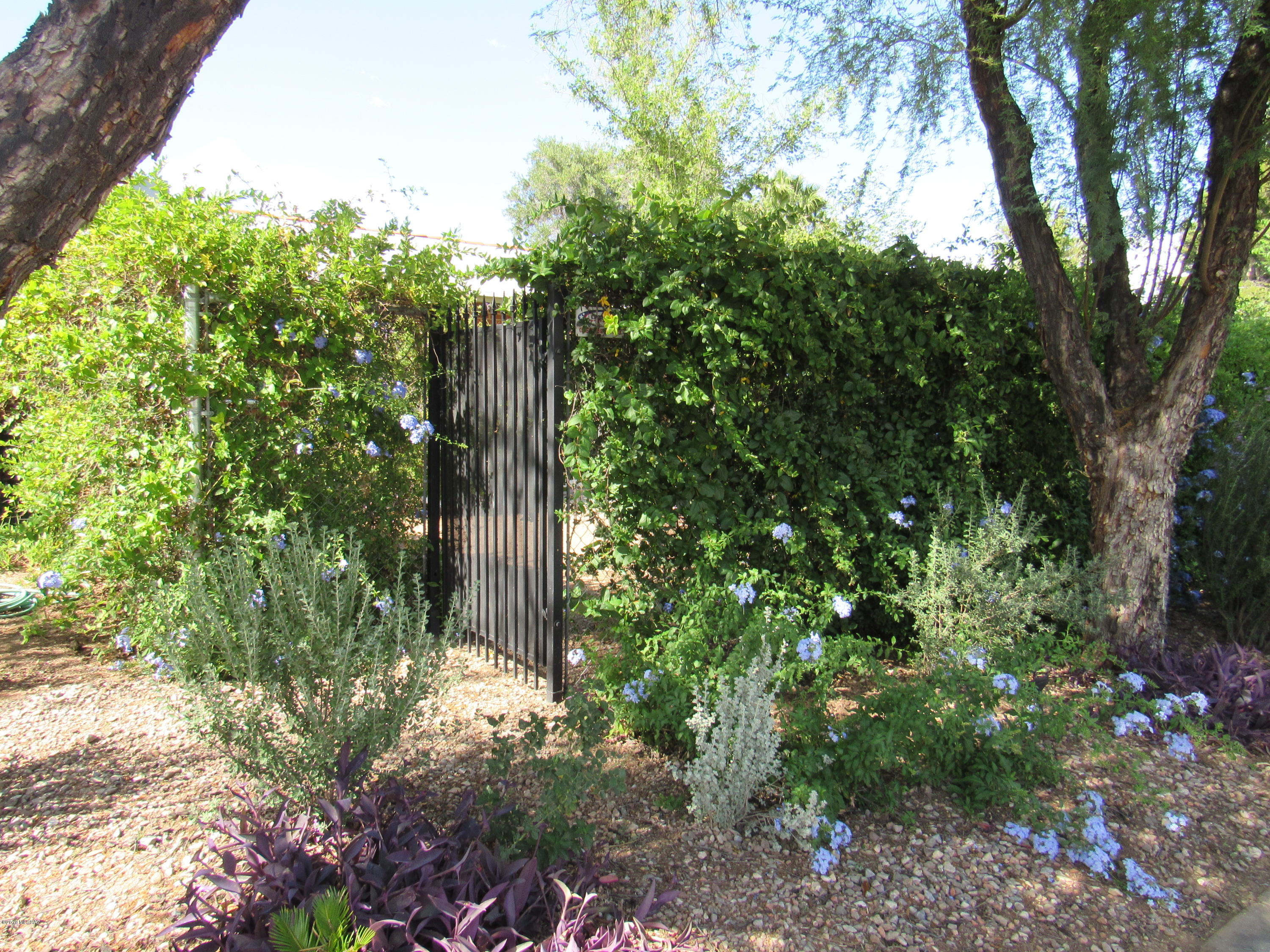 Pinecrest Addition - Residential