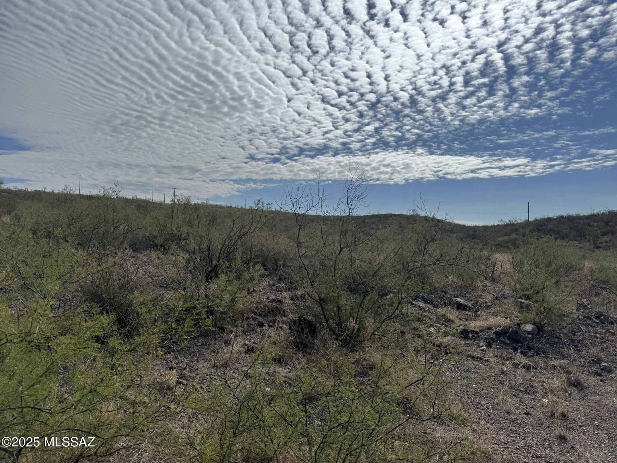 Dreaming of a home in Historic Tombstone Arizona. Here is your chance for an ideal location. This .41-acre lot is ready to build on. With city water and electricity available. Property is at the end of the cul-de-sac. With Emeral Gulch to the rear your views will never be blocked. Come and build your dream house and kick back and enjoy Tombstone, Bisbee and all the sights of Cochise County.