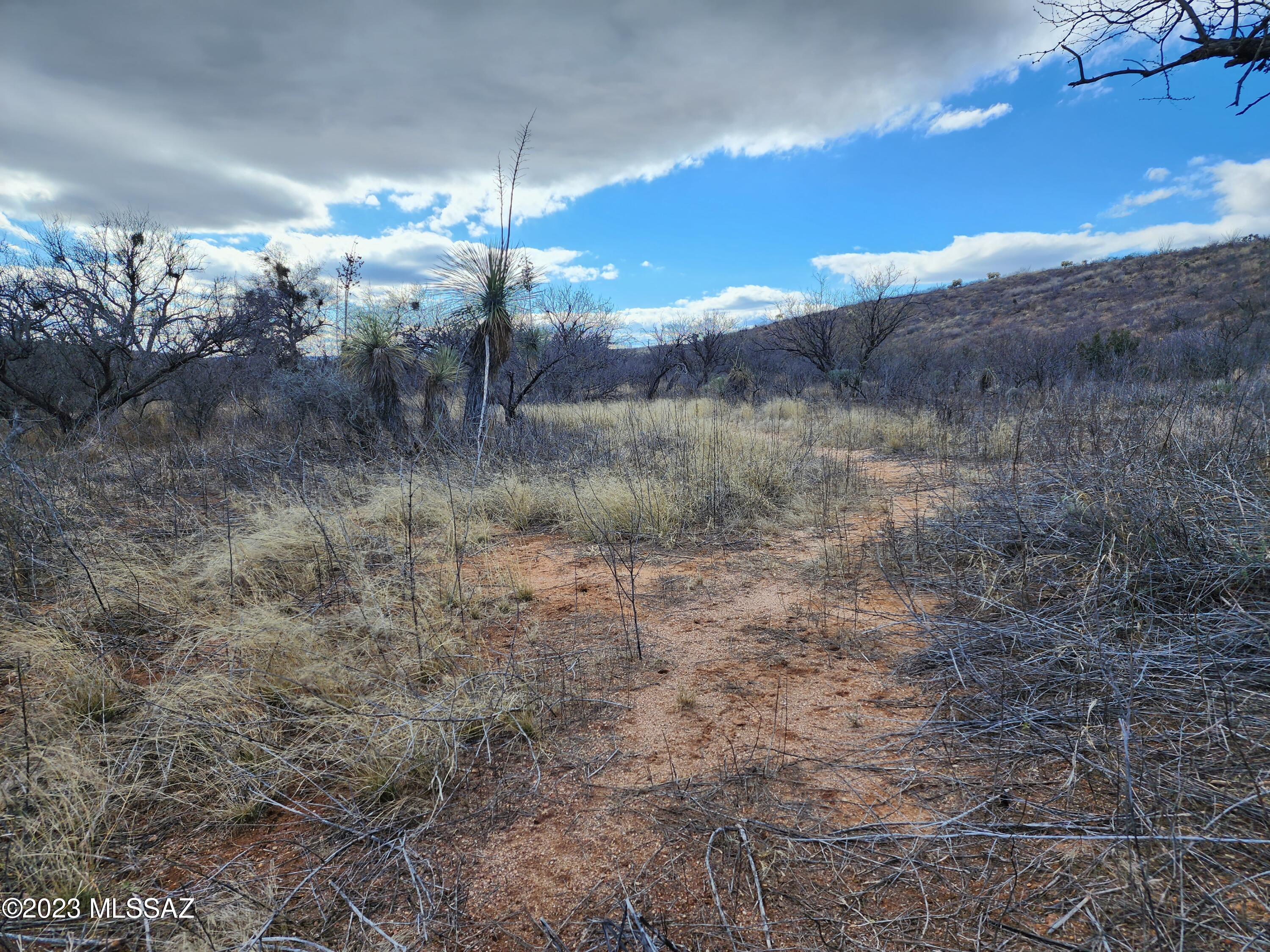 Unsubdivided - Land