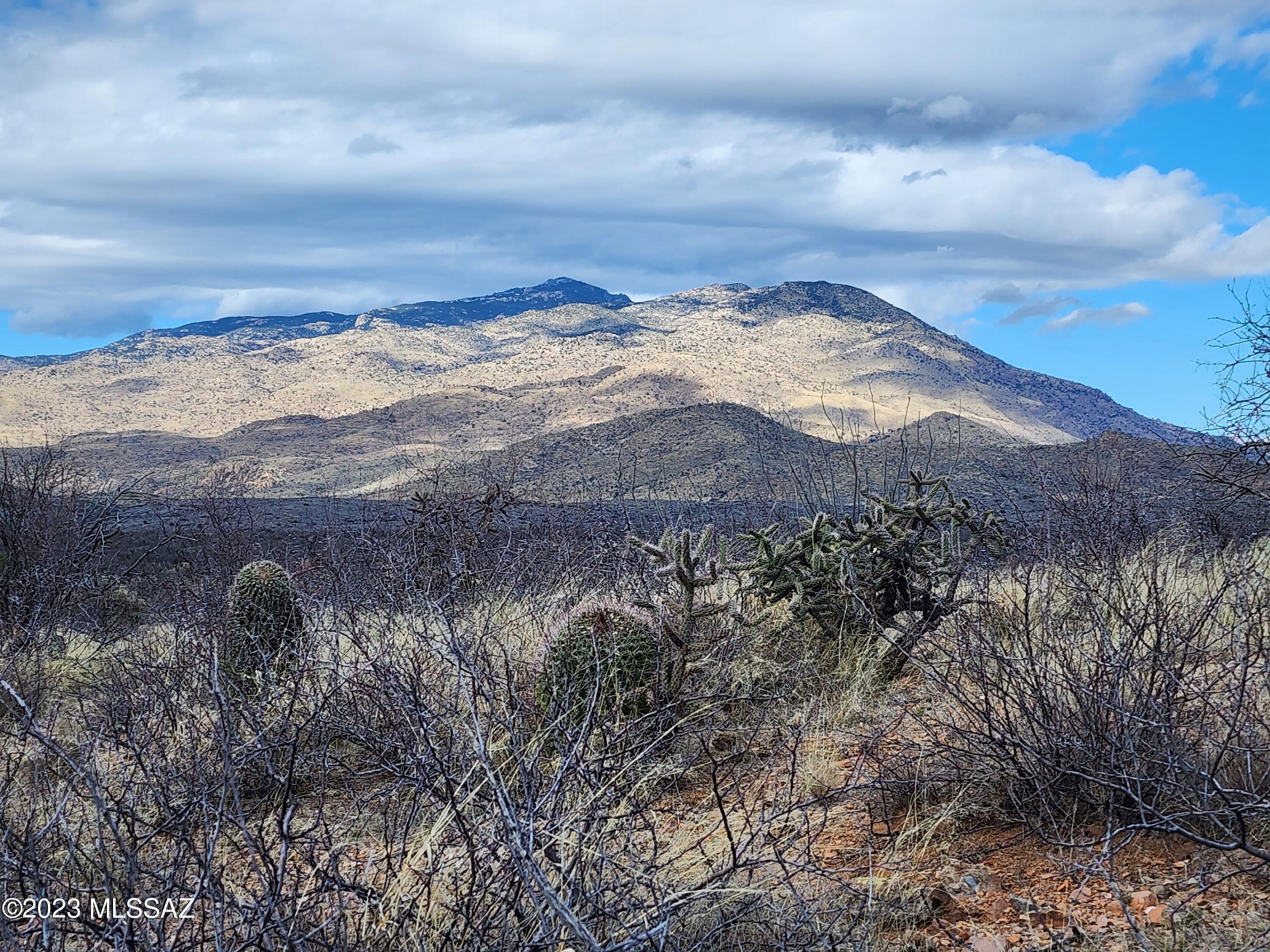 Back On Market! 40 acres with utilities on site! This beautiful lot has varying topography with amazing mountain views and secluded privacy. Horse property with tons of potential and access to washes and trails. This lot is dividable, and Seller will consider carryback financing with half down. Private well and electric are on the property!