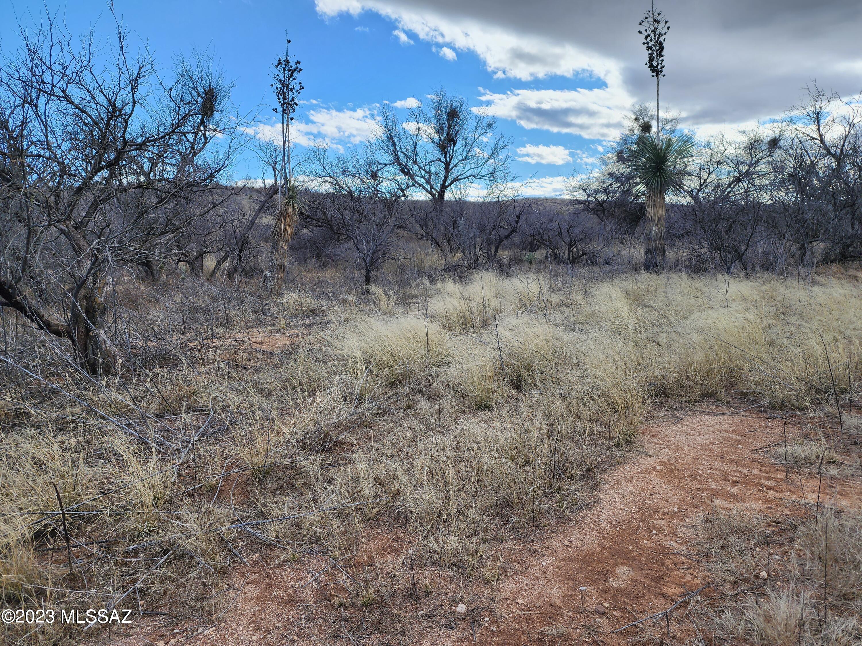 Unsubdivided - Land
