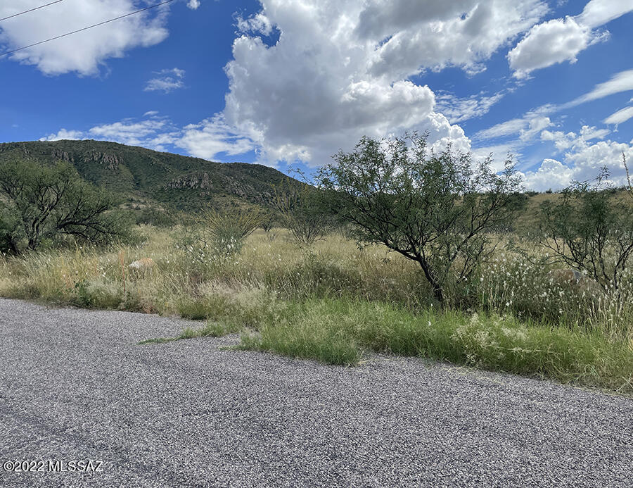 Rio Rico Estates - Land