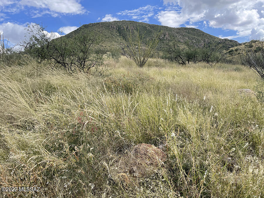 Rio Rico Estates - Land