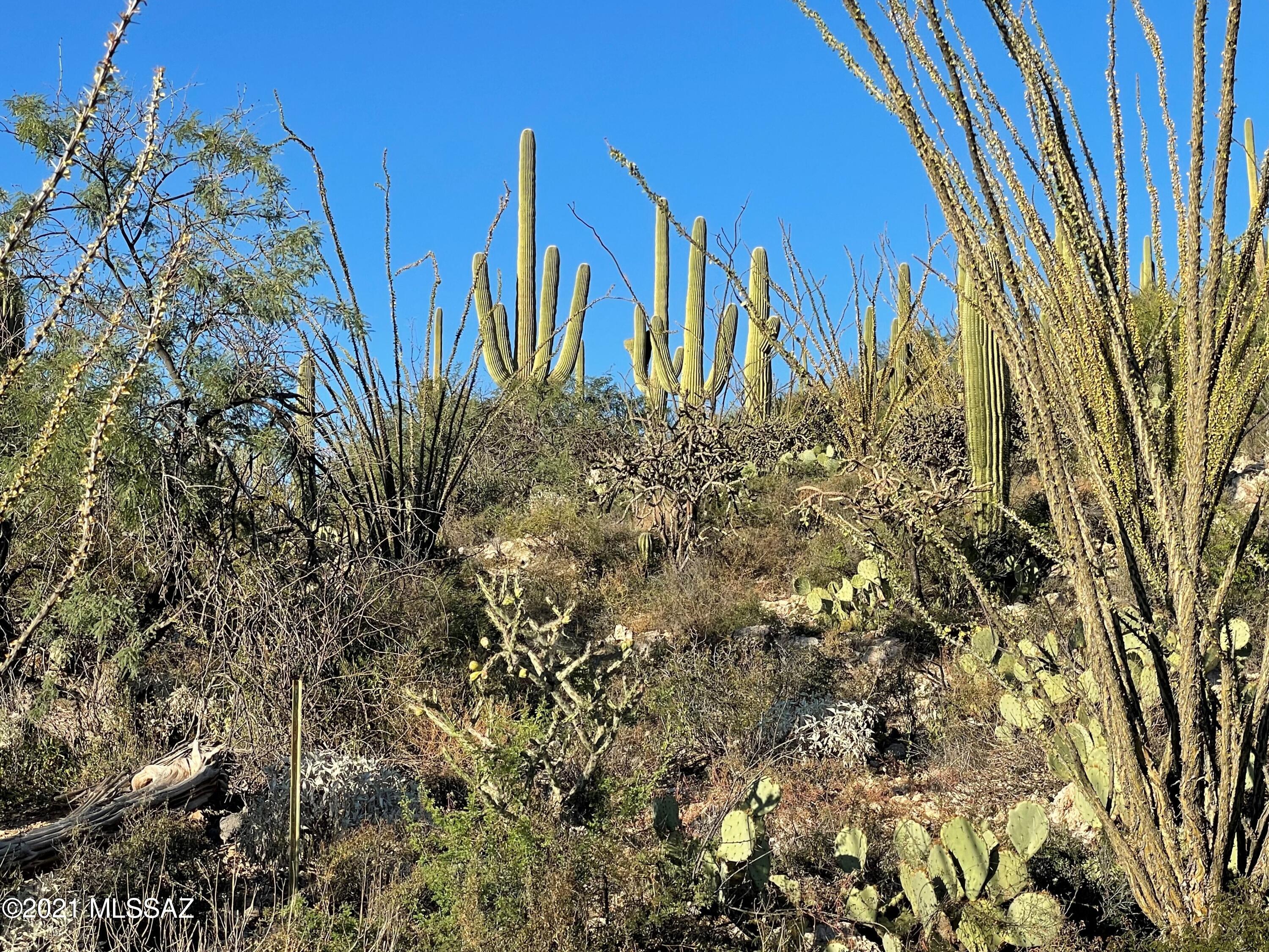 Rinconado Estates (1-13) - Land