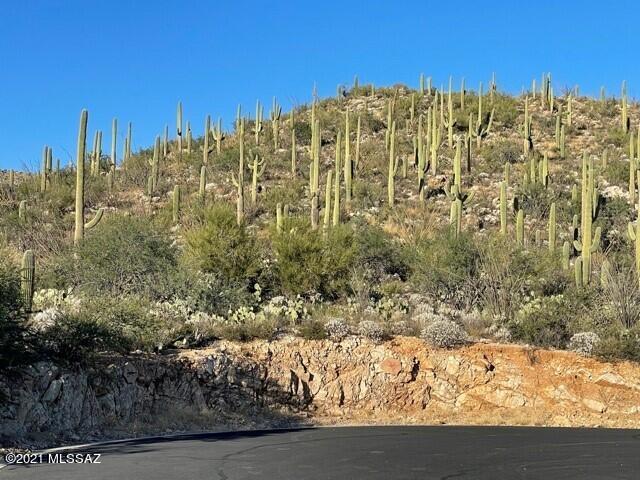Rinconado Estates (1-13) - Land