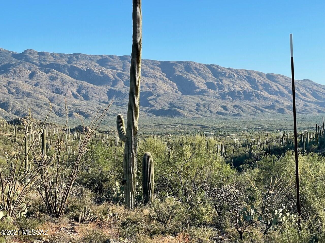 Rinconado Estates (1-13) - Land