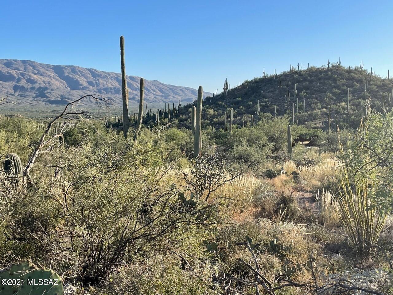 Rinconado Estates (1-13) - Land