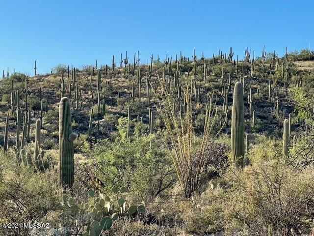 Rinconado Estates (1-13) - Land