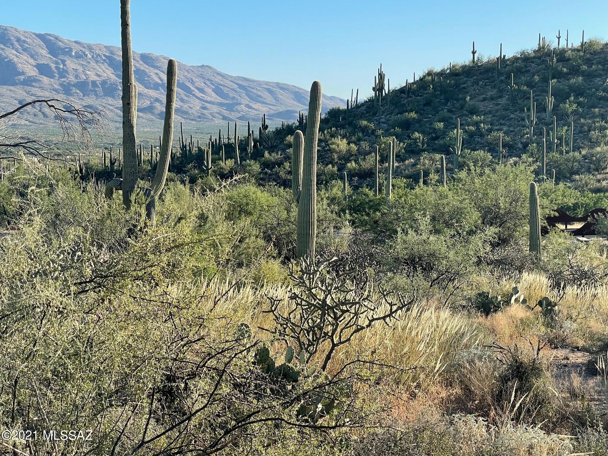 Rinconado Estates (1-13) - Land