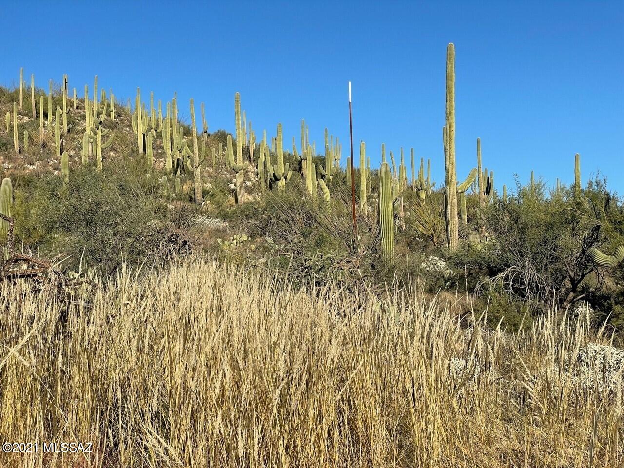 Rinconado Estates (1-13) - Land