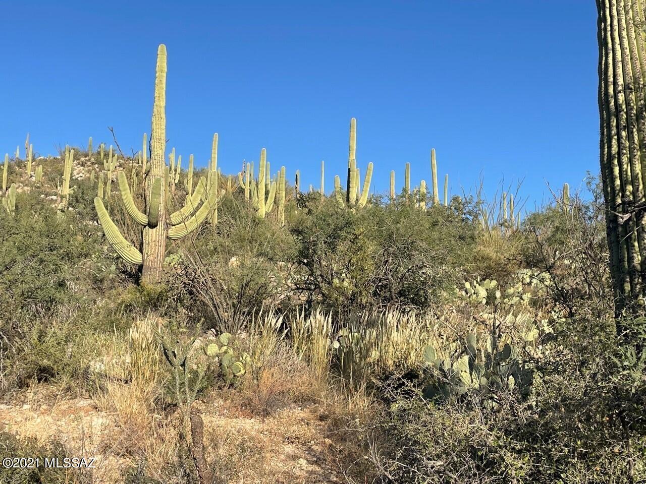 Rinconado Estates (1-13) - Land