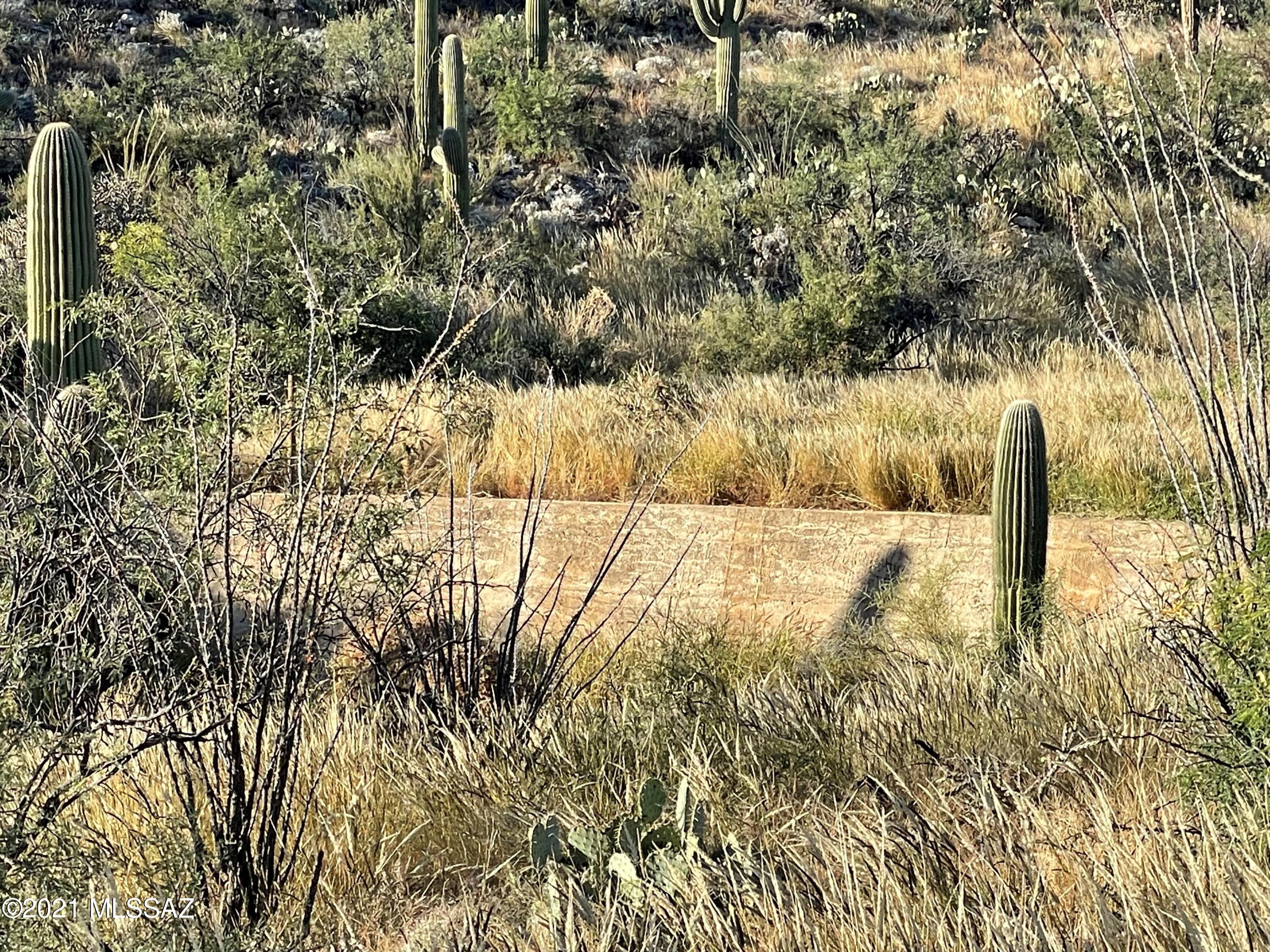Rinconado Estates (1-13) - Land