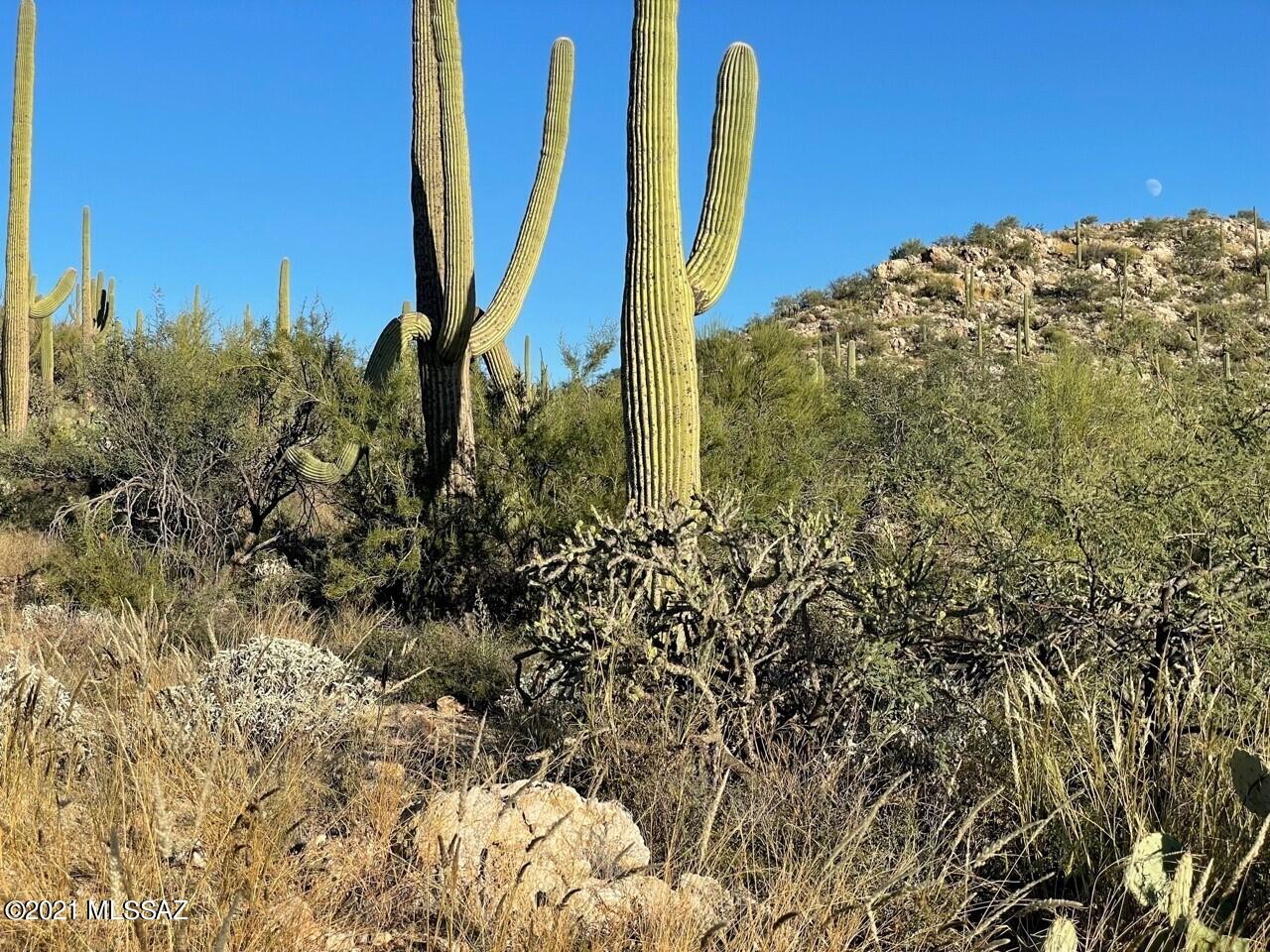 Rinconado Estates (1-13) - Land