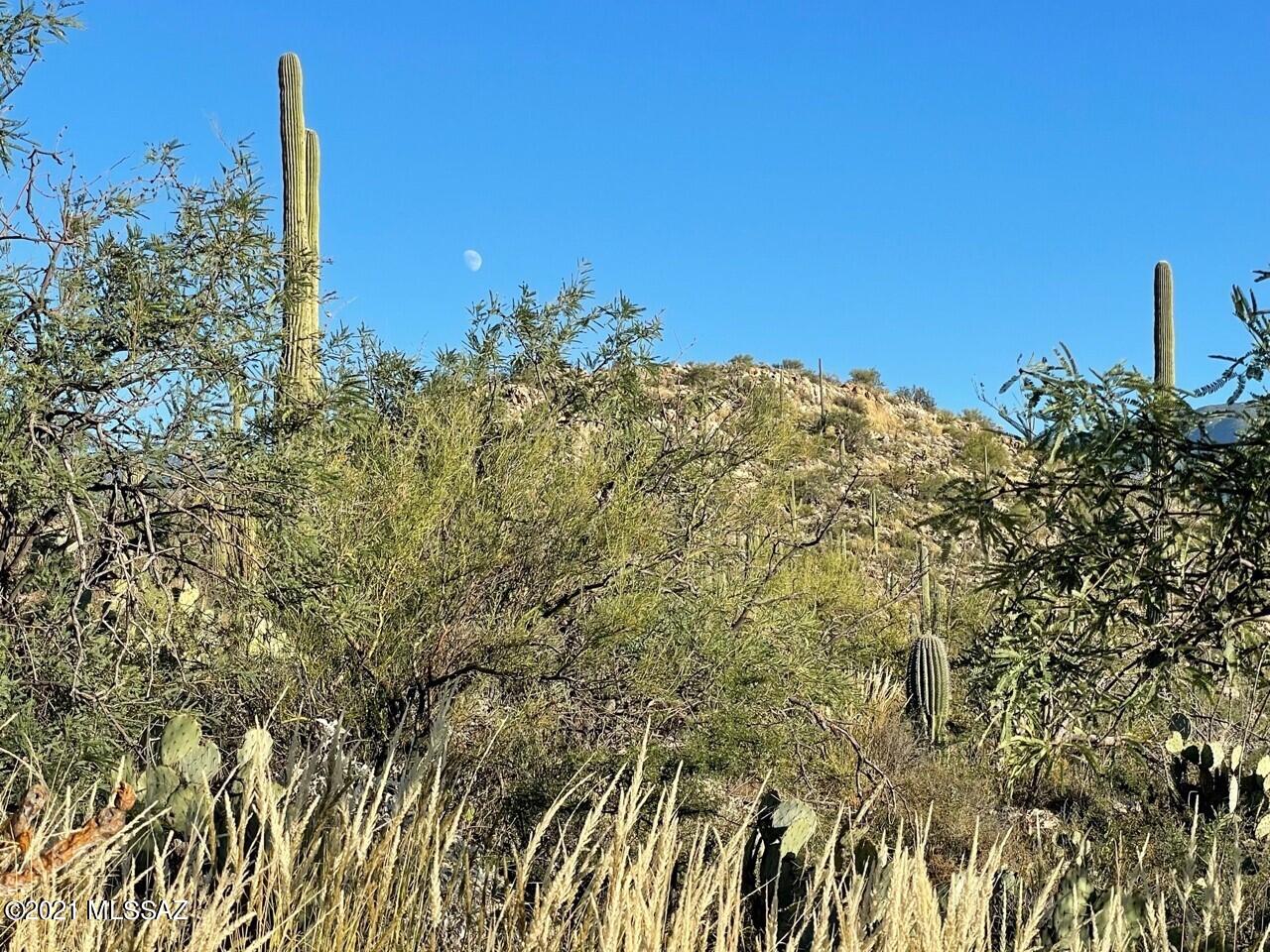 Rinconado Estates (1-13) - Land