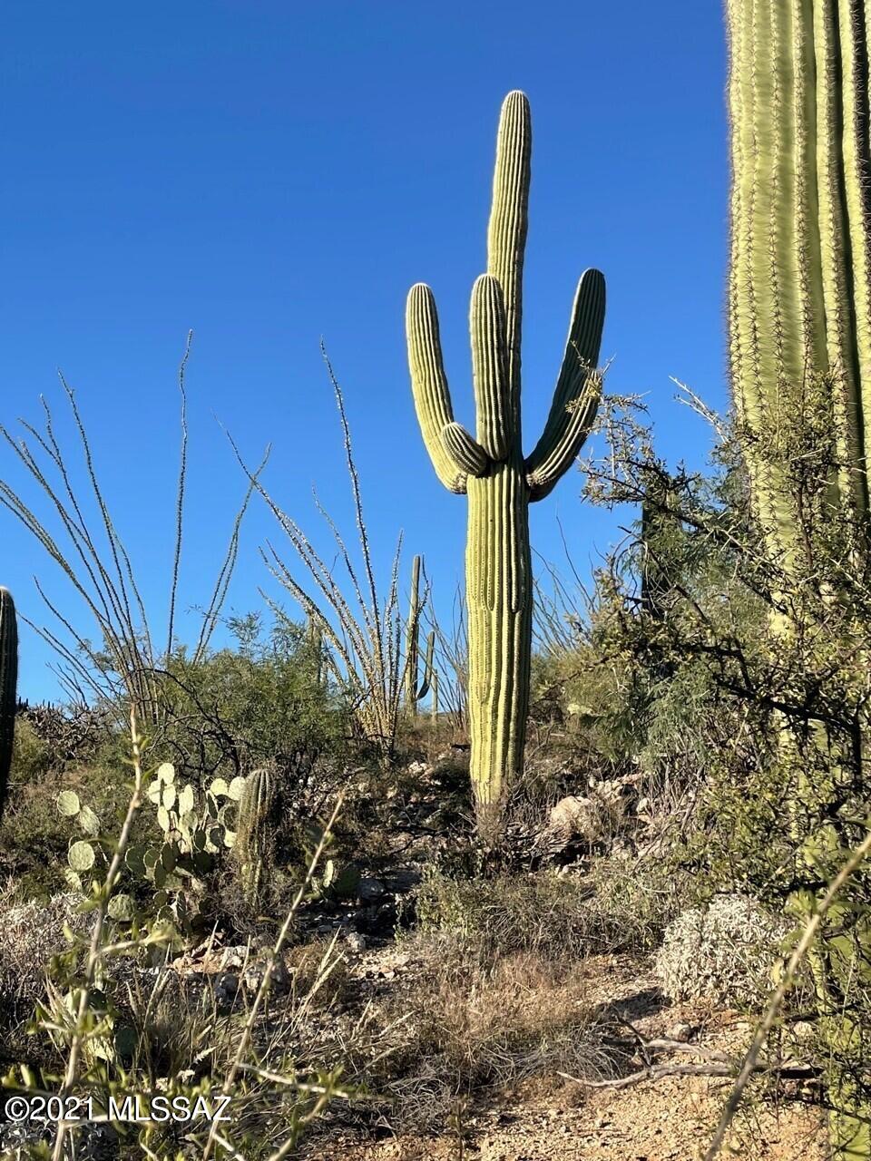 Rinconado Estates (1-13) - Land