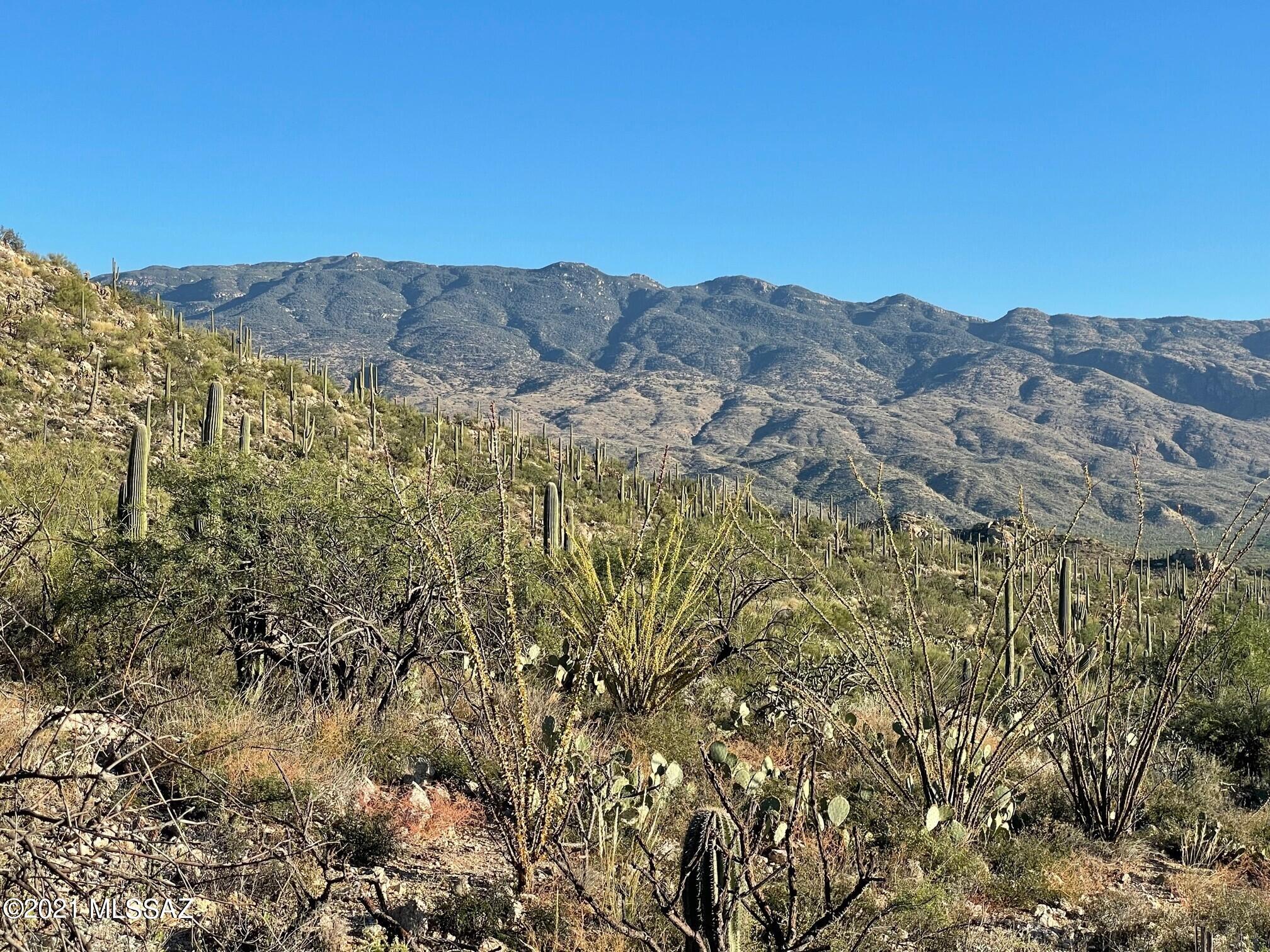 Rinconado Estates (1-13) - Land