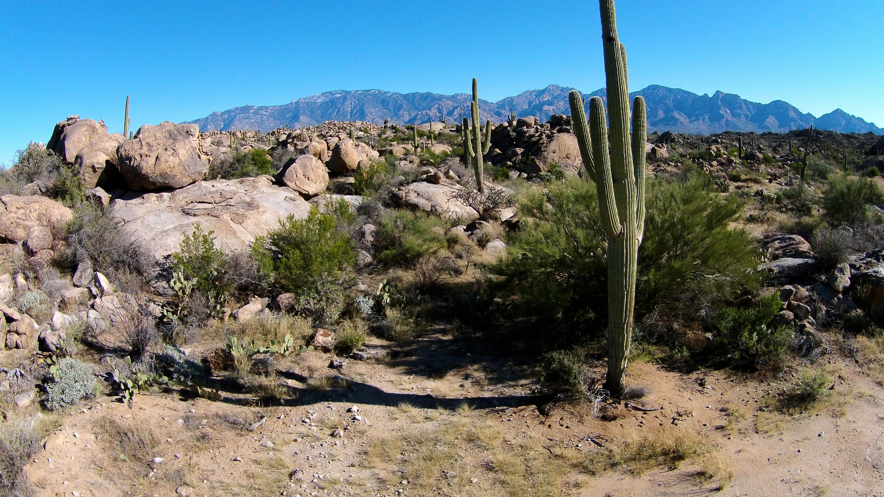 Stone Canyon IV - Land