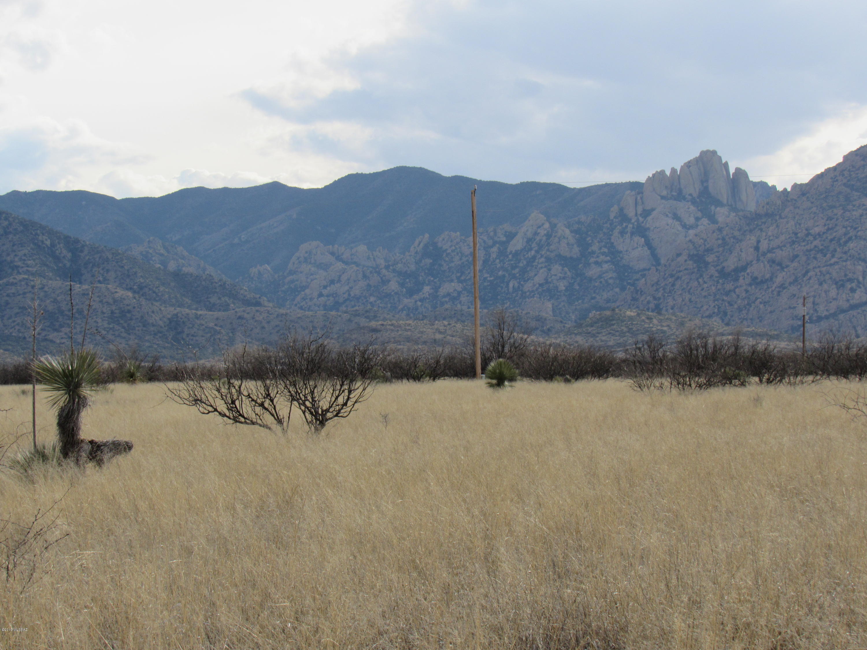 4.3 AC in very desirable area in the foothills of the Dragoon Mountains and Cochise Stronghold. Experience gorgeous unobstructed sunrises and sunsets every day. At a 4500 foot elevation,, enjoy cooler Arizona summers and unsurpassed winters. Private and rural, yet close to Sunsite's many amenities and an hour'drive to Tucson. Priced to sell!
