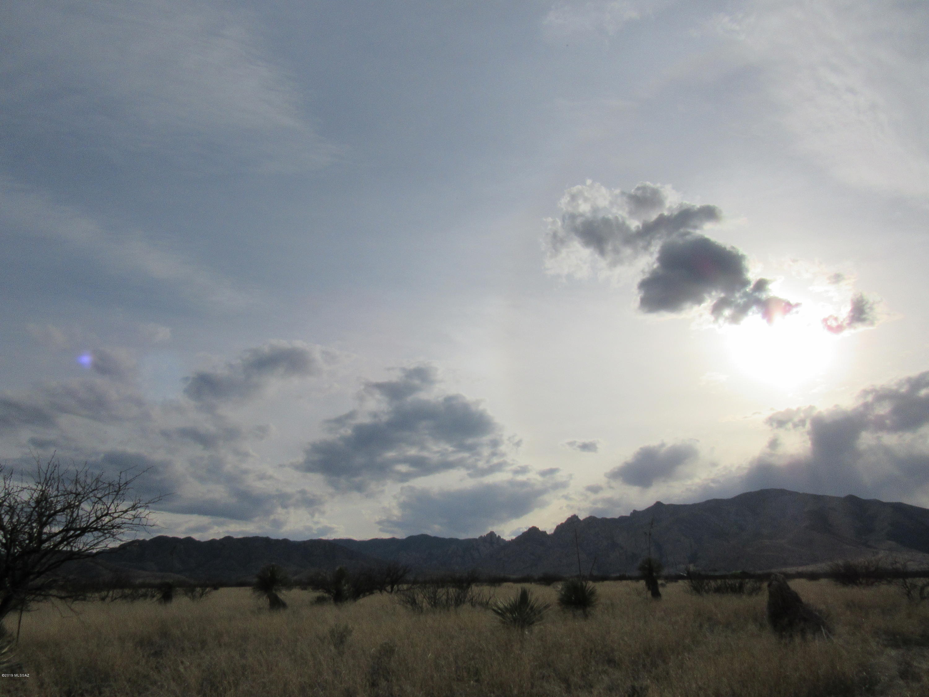 Other/Unknown - Land