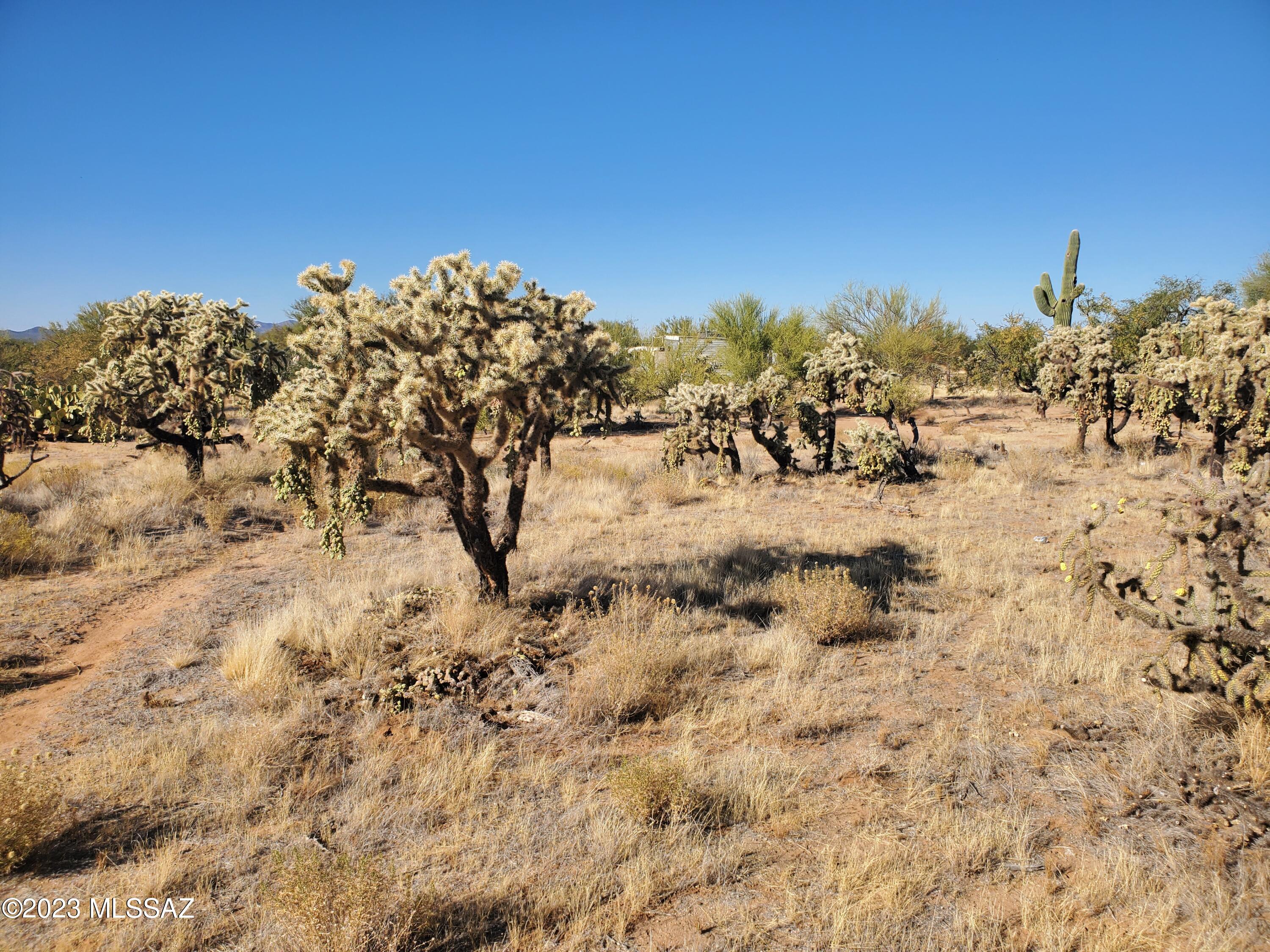 Diamond Bell Ranch Chaparral Unit (1-24, 26-228) - Land