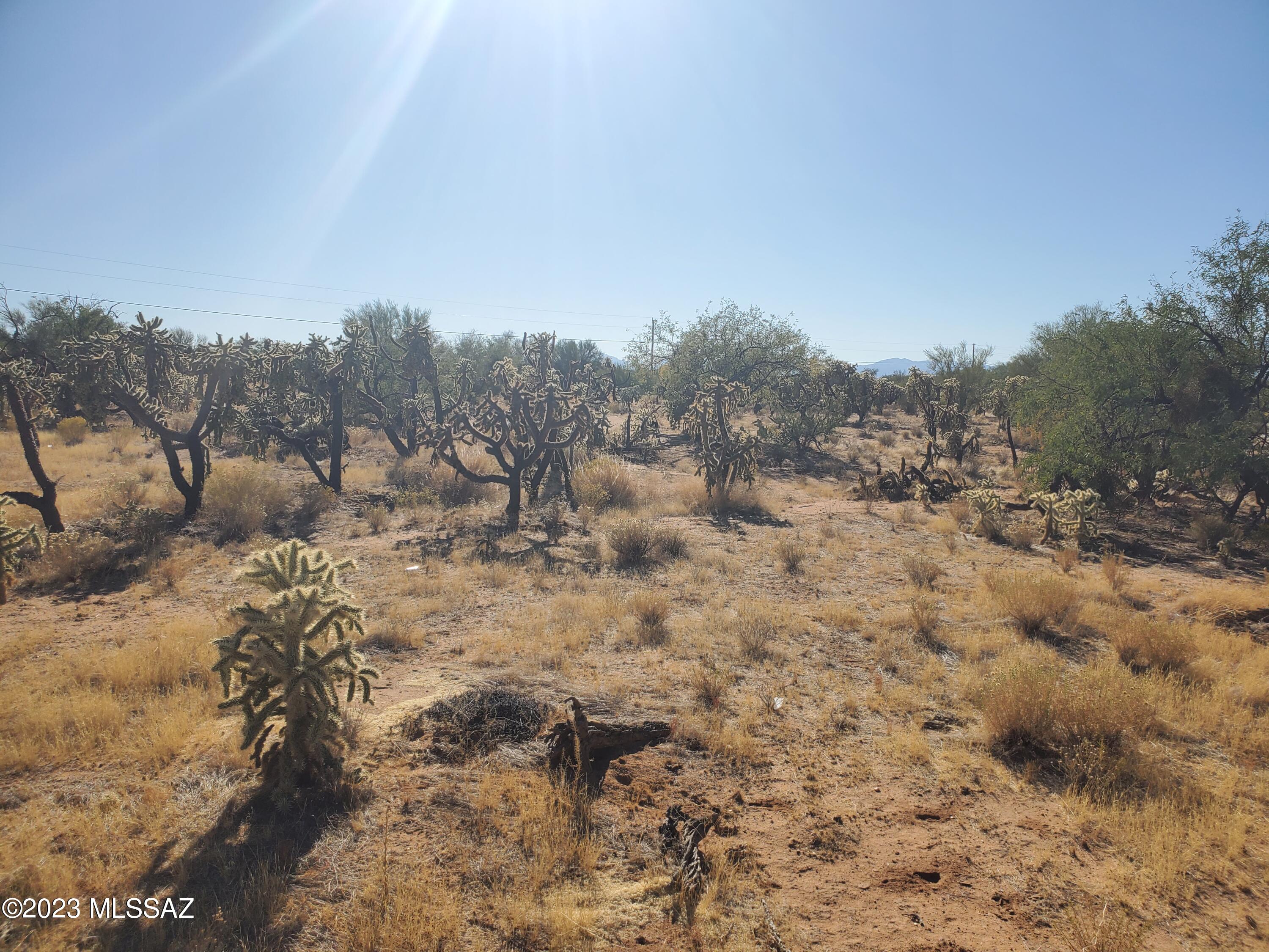 Diamond Bell Ranch Chaparral Unit (1-24, 26-228) - Land