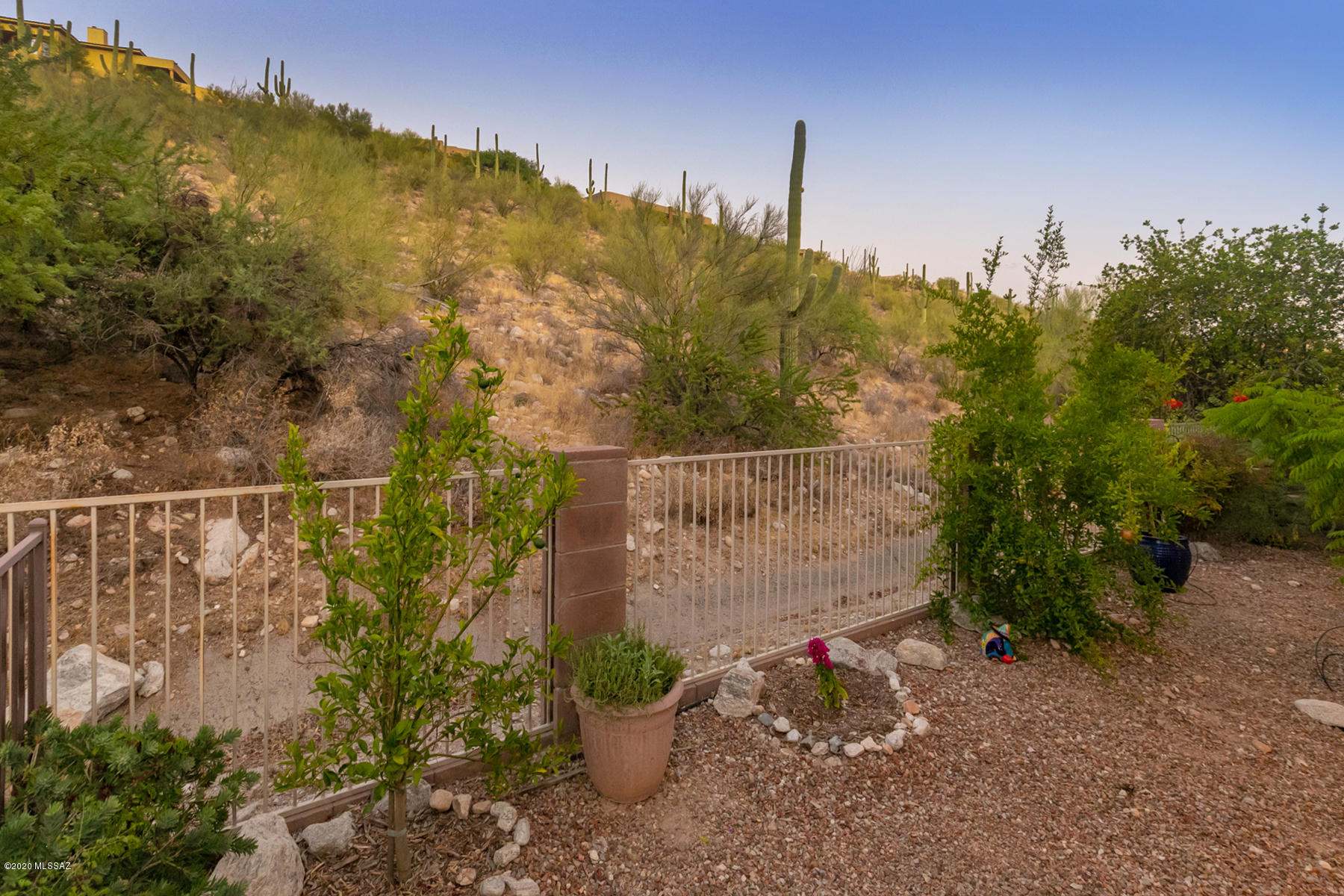 Sabino Mountain (1-290) - Residential
