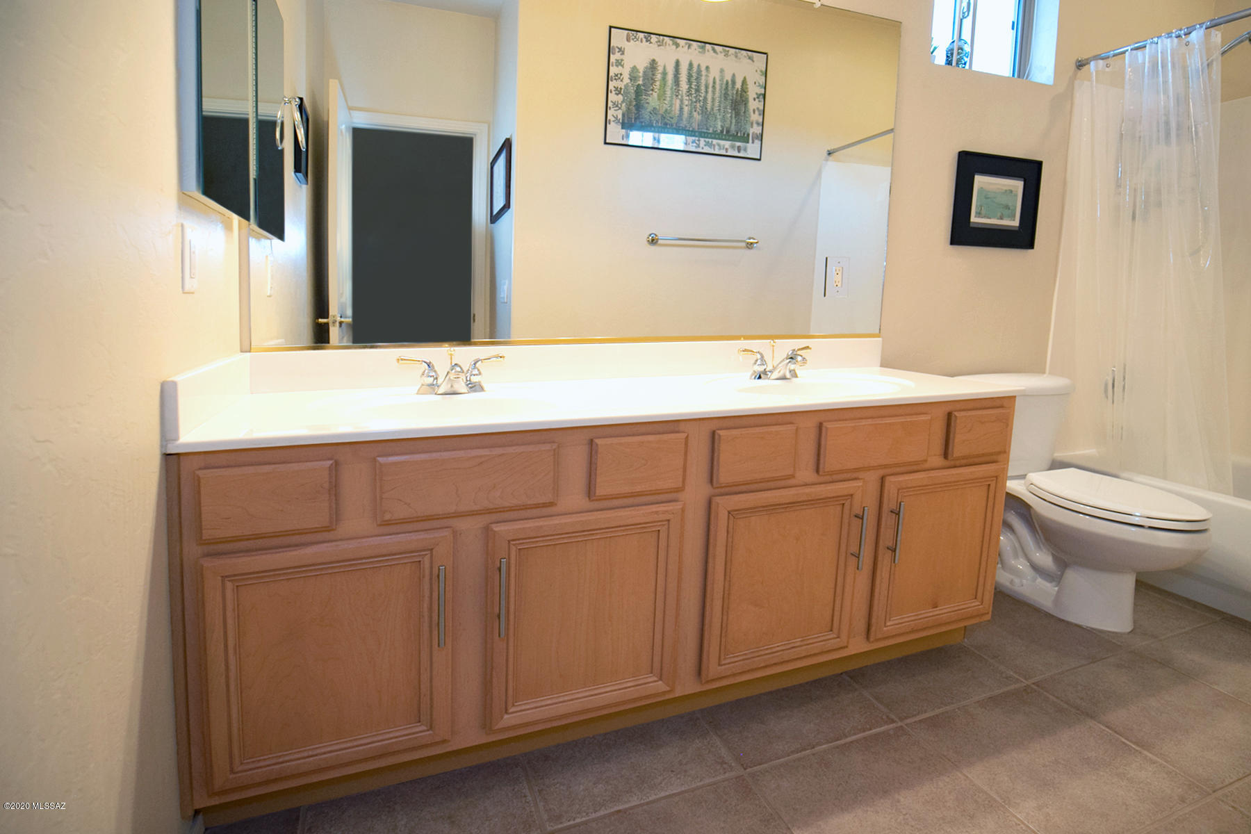 Sabino Mountain (1-290) - Residential