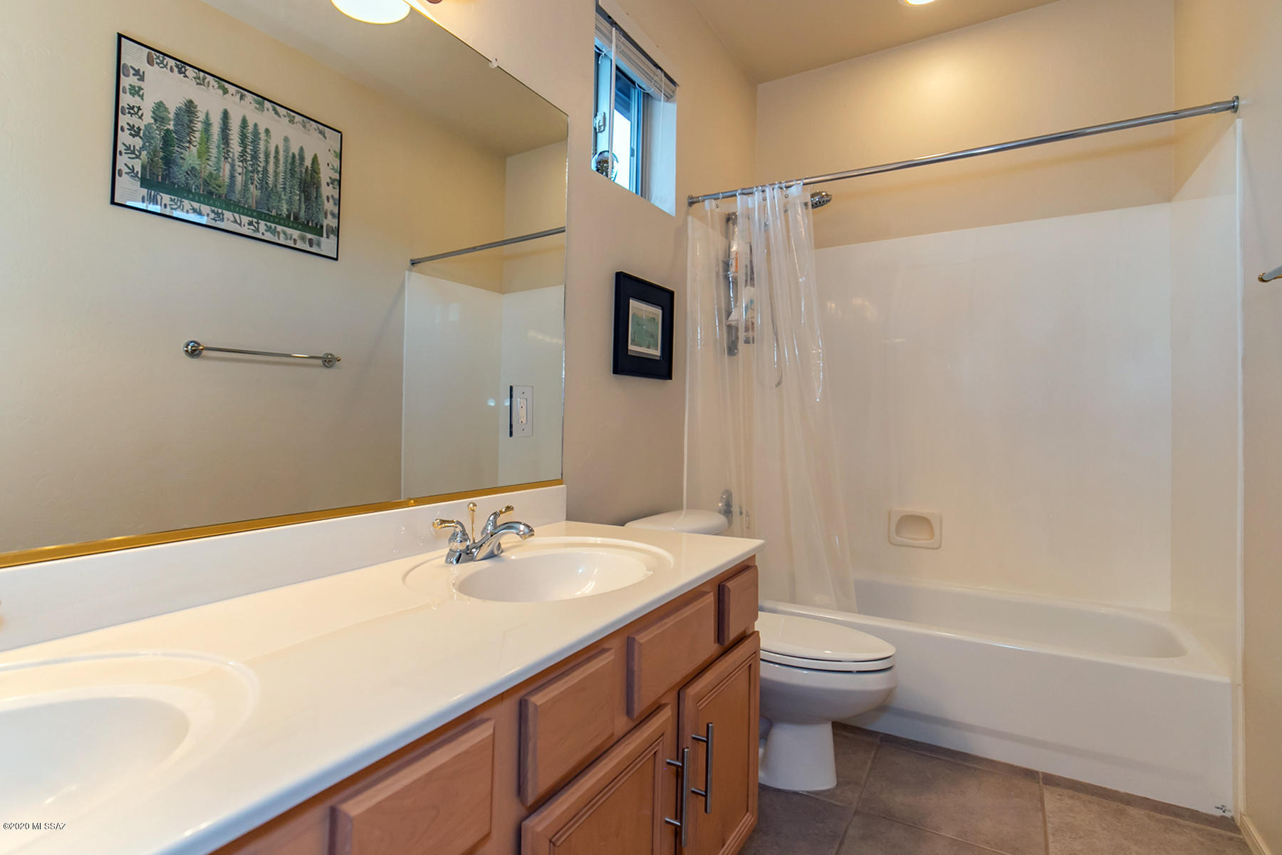 Sabino Mountain (1-290) - Residential