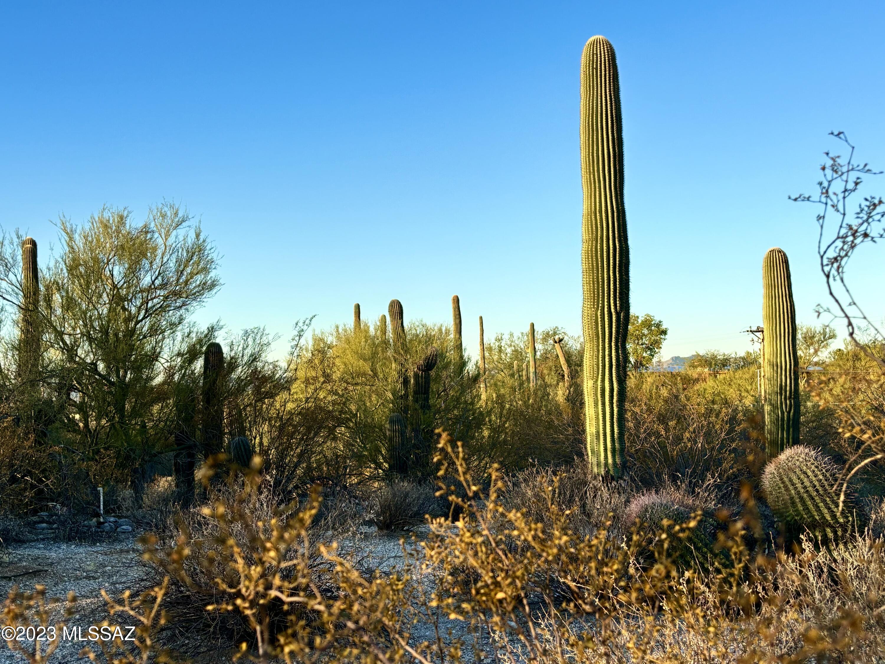 Includes complete custom blueprints ready for permit submittal! This lush desert hideaway combines privacy and natural beauty while being only a few minutes from shopping and city amenities. 

Recent survey indicating water, electricity, gas and sewer available along with a flat hilltop building envelope makes this parcel build ready.