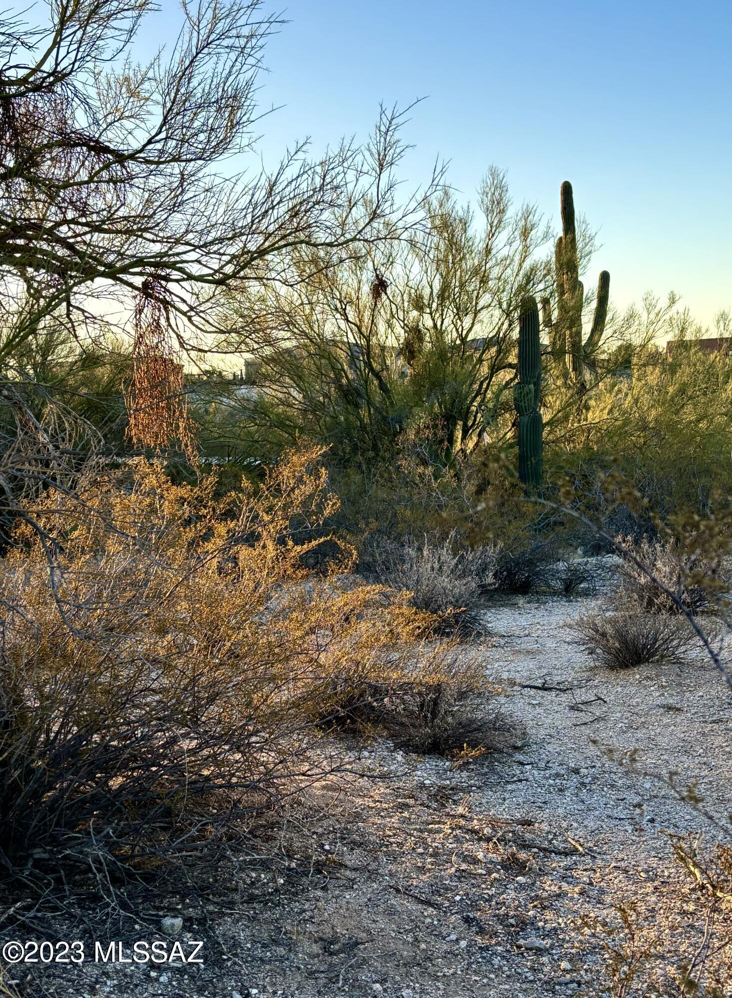 Oracle Foothills Estates NO. 7 (301-383) - Land