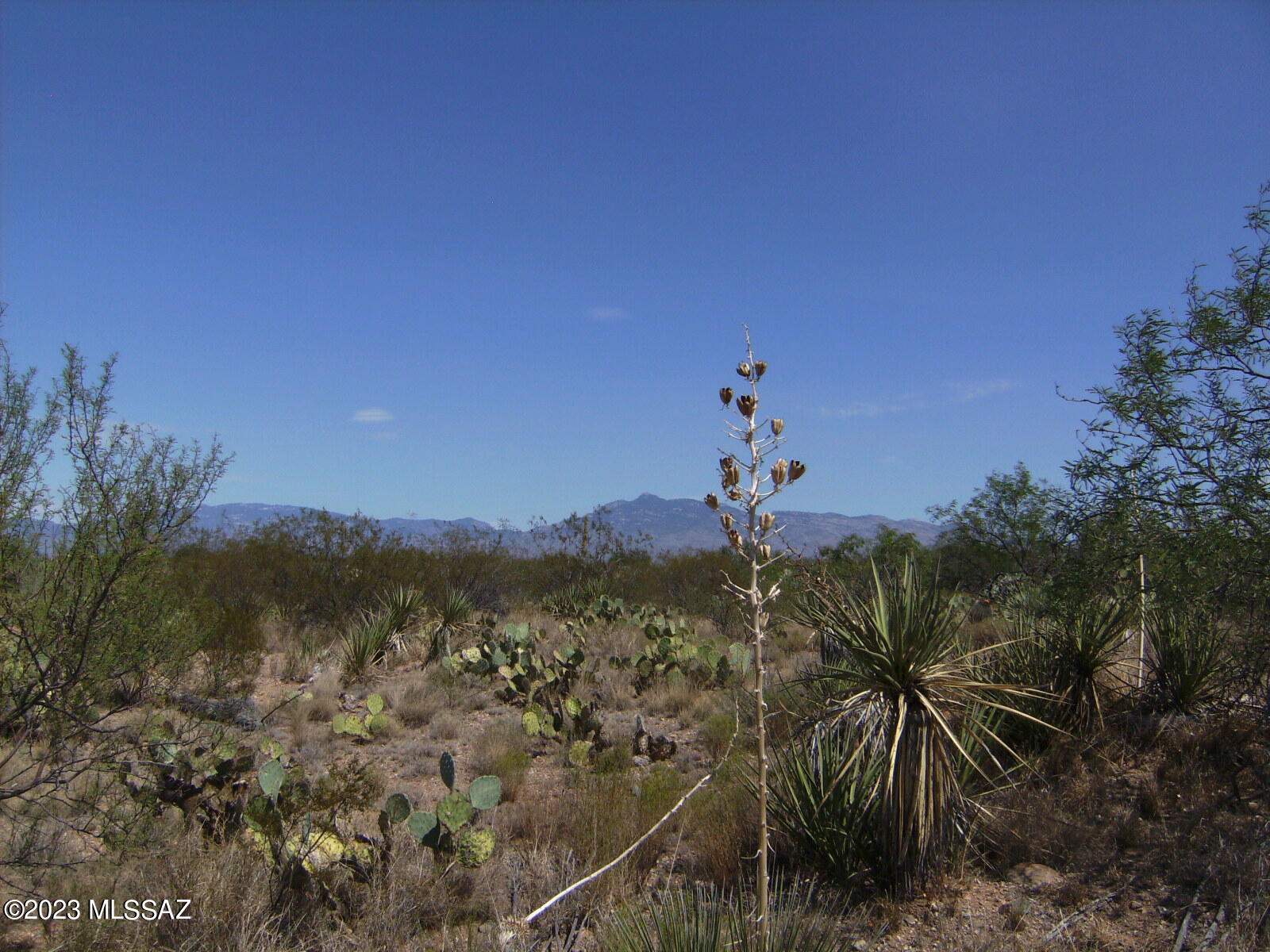 Beautiful and tranquil. This is the perfect place to build your dream home. This single family home lot offers sublime views with a peaceful backdrop. Easy build in this up coming area. Get in early.