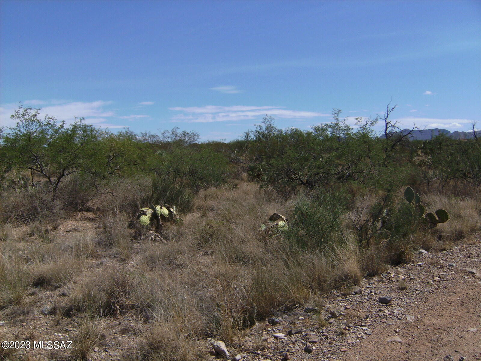 New Tucson Unit NO. 29 - Land